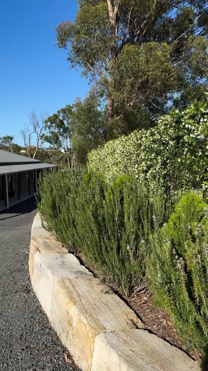 Our garden has been a labour of love for years — planting, growing, replanting, waiting. And finally, we’re starting to see it blossom… flowers, fruit, and all the little rewards that make it worth it. Nothing beats watching something you’ve nurtured come to life.
#GardenJourney #HomeGrown #BloomAndGrow #FruitGarden #GardeningLife #SlowLiving #GardenJoy