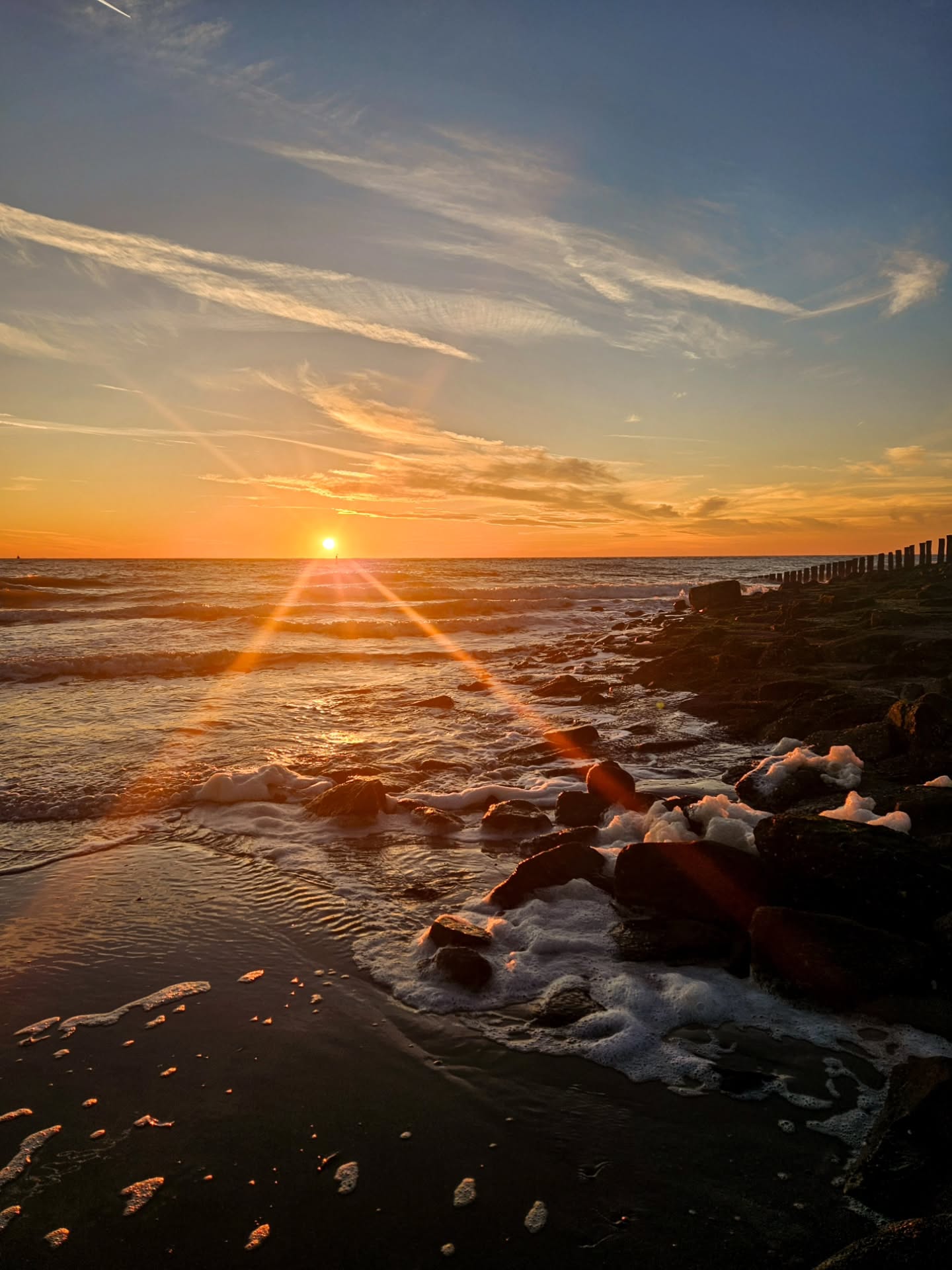 𝕄𝕚𝕛𝕟 𝕟𝕠𝕧𝕖𝕞𝕓𝕖𝕣 (een korte samenvatting in hoogtepunten) ✨️
1-4: Een lezing in Westkapelle, Zeeland. Ik mocht vanwege de lange reis een nachtje slapen in een vakantiehuisje. Ik heb zo genoten!
5: We hebben een trouwlocatie geboekt! Ziet het er zo niet prachtig uit? We hopen te trouwen in deze molen aan de Vecht en in de kerk die je door het raampje ziet.💒
6: Tobíah verstopt voor oma.😂 Als er iemand aankomt, zet hij grote ogen op en zegt: "snel!, 'stoppe!"
7: Eden kreeg mijn telefoon om het bruidsjurkpassen vast te leggen. Hier haar maillotvoetjes 🥰
8-10: Een lezing in Damwoude, Friesland. Ik ging van de ene kant van het land, naar de andere deze maand. Na de lezing (was op een ochtend) wandelde ik door Leeuwarden en bezocht het Fries Museum, waar o.a. dit prachtige Delfts blauwe tegeltje te zien was.
11: Begonnen met het schetsen van onze trouwkaart.💌
12: Schoonfamilie op Urk betekent dat ik af en toe vis voorgeschoteld krijg. 🐟