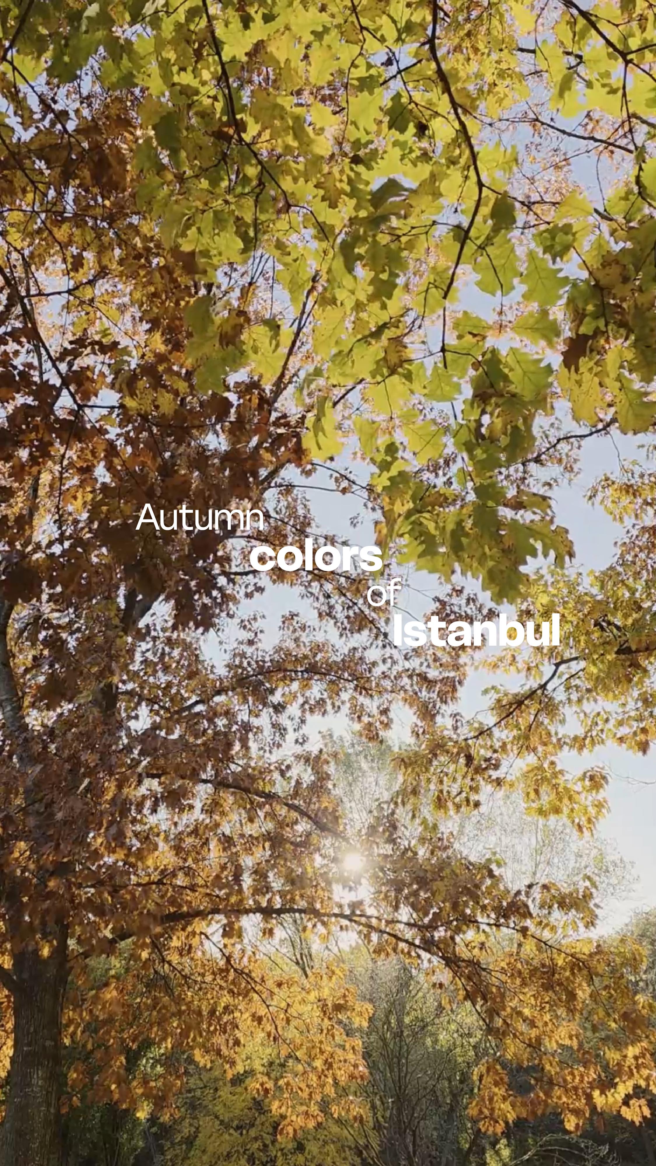 The city breathes slower, enveloped in a profound, golden stillness. Witness the elegant shift as the autumn palette from amber to rust softens the historic façades. The Bosphorus offers a quiet reflection, framed by the season’s richest textures and sense of calm.
#avantgardeurban #istanbul