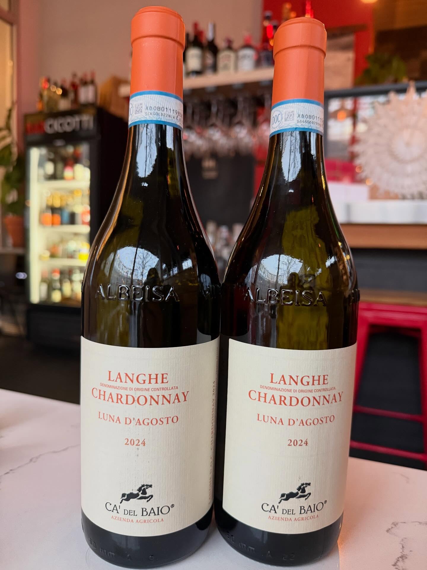 🍷 By the Glass at Bar Cicotti
Ca’ del Baio Langhe Chardonnay
Piedmont, Italy
Early-harvest chardonnay, steel fermented,
bright, crisp, and refreshingly clean.
Perfect for aperitivo, perfect with snacks, perfect on its own.
Cin cin 🤍