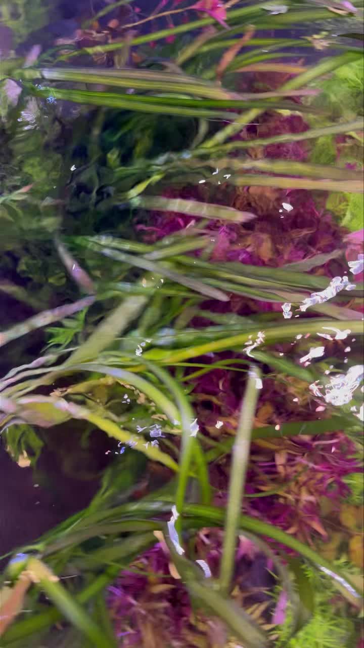 Great news!
Plants are restocked!
🌱🌿🌱