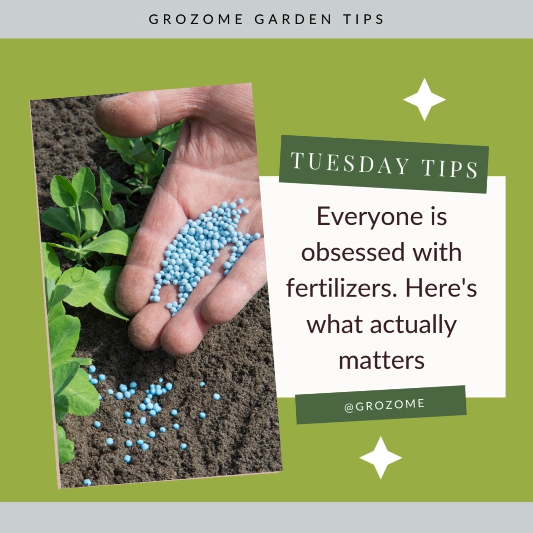 Tuesday Tips đż
If you want healthier plants, donât just feed the plant⊠feed the soil biome.
GROZOME isnât âanother fertilizer.â Itâs a living ecosystem in a bag packed with beneficial microbes, micronutrients, and biochar to bring biodiversity back to tired soil and restart the natural processes plants rely on.
Think of it like this:
âš Soil life unlocks nutrients
âš Roots grow stronger
âš Plants handle stress better
âš You rely less on synthetics
No chemicals. No shortcuts. Just nature doing what it does best when the biology is there to support it.
Save this tip for your next watering day, and if your soil feels âmeh,â this is your sign to rebuild the foundation.
đ Want to wake up your soil? Tap the link in bio to shop GROZOME Probiotic Kits.
#tuesdaytips #soilhealth #livingsoil #houseplantcare #gardenlife #composttea #microbes #organicgardening #planttips #soilbiology #grozome #plantprobiotic #regenerativesoil
