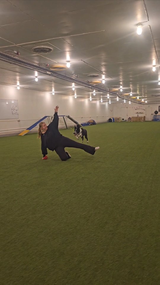 My dogs have carried me through life’s hardest chapters. Together, we dance, we connect, we create. Every routine and training is a reminder that even in struggle, there’s love, light and happiness awaiting. I’m endlessly grateful for them ❤️
#DancingK9 #bordercollie #dogdancing #dogtricks #trickdog #bordercolliesofinstagram #instadog #dogdancingfreestyle #dogtraining