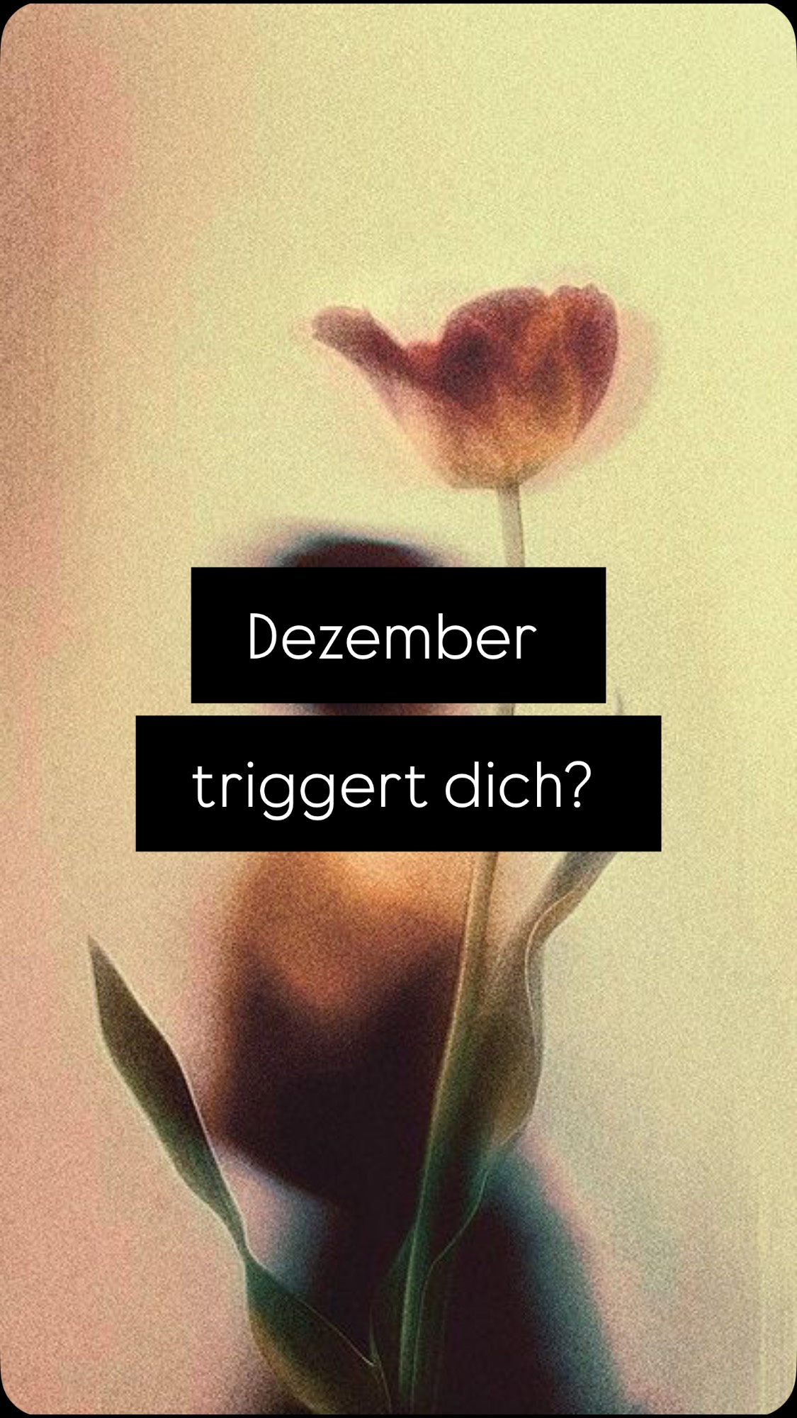 Wenn du dich im Dezember sensibler, emotionaler oder schneller erschöpft fühlst:
Das ist kein Zufall.
Das ist Körperweisheit.
Hier sind 5 Gründe, warum Frauen — besonders hochsensible — im Winter tiefere Symptome spüren:
1️⃣ Der Winter führt dein Nervensystem in die Tiefe.
In die Ruhe. In den Rückzug.
Doch unser Alltag lässt uns oft nicht folgen.
2️⃣ Deine Wahrnehmung wird feiner.
Kälte öffnet die Sinne.
Die Emotionen waren nie weg — sie werden nur hörbarer.
3️⃣ Innere Themen steigen auf.
Weil du langsamer wirst.
Weil du präsenter wirst.
4️⃣ Deine Energie möchte sinken.
Doch Gesellschaft, Familie und Verpflichtungen verlangen das Gegenteil.
Dieser Druck macht Symptome.
5️⃣ Der wichtigste Grund:
Dein Körper erinnert sich an alte Winter.
Alte Überlebenszustände.
Alte Emotionen, die im Jahreskreis gespeichert sind.
✨
Du bist nicht „zu sensibel“.
Du bist verbunden.
Der Dezember ist kein Feind.
Er ist ein Portal.
In deine Tiefe.
In deine Präsenz.
In dich.
Wenn du ihn dieses Jahr bewusst gehen willst:
👉🏻 UNHOLY DECEMBER🌒 – Start 5.12.
Ein 28-tägiges Winter-Retreat für dein Nervensystem.
Link in Bio. 🫶🏻
Love E🫀
BODYWISDOM
EMBODIMENT
FEMALE EMPOWERMENT
SENSITIVE
#holydecember #unholydecember #wintermedicine #somaticwisdom #feminineenergy #winterhealing #embodimentjourney #nervensystemheilung #deeprest #sanftestärke #weiblichekraft #körperachtsamkeit