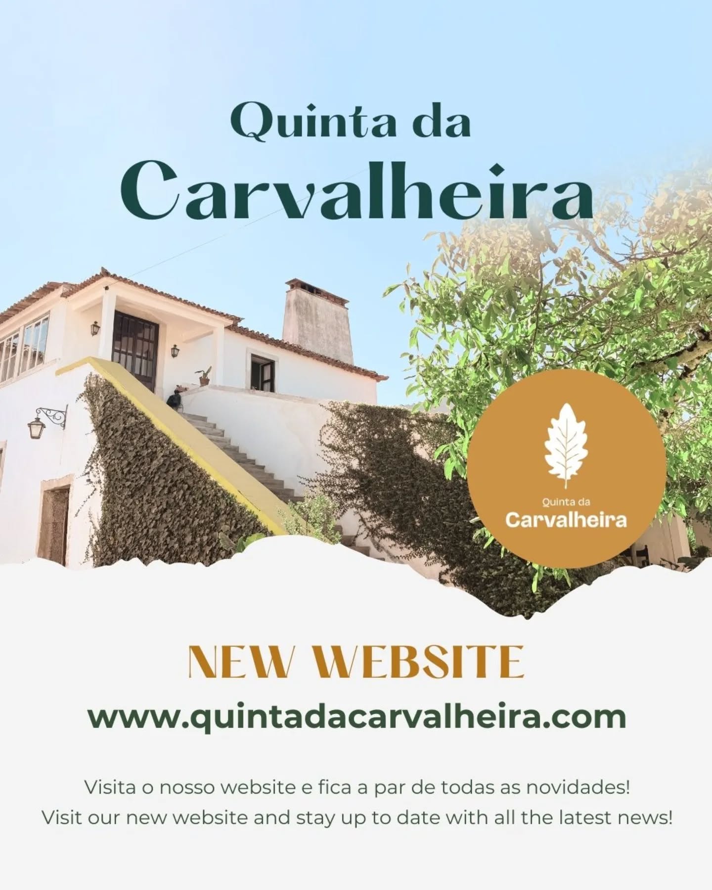 Abrimos mais uma porta na Carvalheira e desta vez, digital! O nosso novo site já está online! ✨
E, como tudo na Carvalheira, também ele foi criado com calma, intenção e muito carinho.
Gostávamos muito de saber o que sentes ao explorá-lo:
💬 Está claro?
🌱 Transmite o espírito da Carvalheira?
💛 Há algo que possamos melhorar?
A tua opinião ajuda-nos a crescer e a criar uma experiência cada vez mais autêntica e regenerativa.
Partilha connosco o teu feedback por dm ou nos comentários :)
Um especial obrigada à Catarina Alves e ao Hugo Pierucci por toda a energia que dedicaram a esta missão ao longo de várias semanas.
🍃 www.quintadacarvalheira.com 🌱
Obrigada por fazeres parte!
#quintadacarvalheira #colivingportugal #ruralcoliving #slowliving #coimbra #regeneration #regenerativeliving