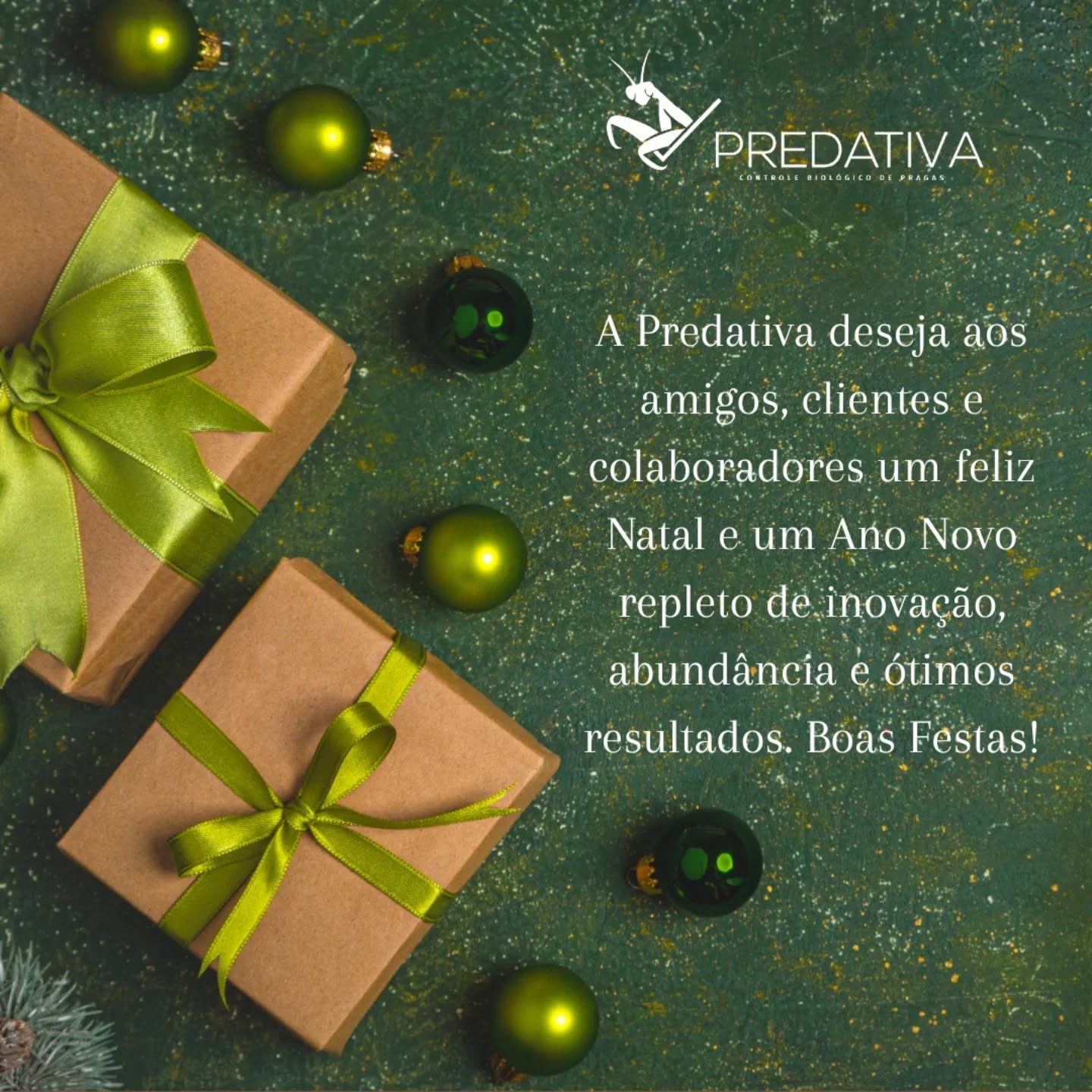 #predativa #anonovo #ɴᴀᴛᴀʟ2025