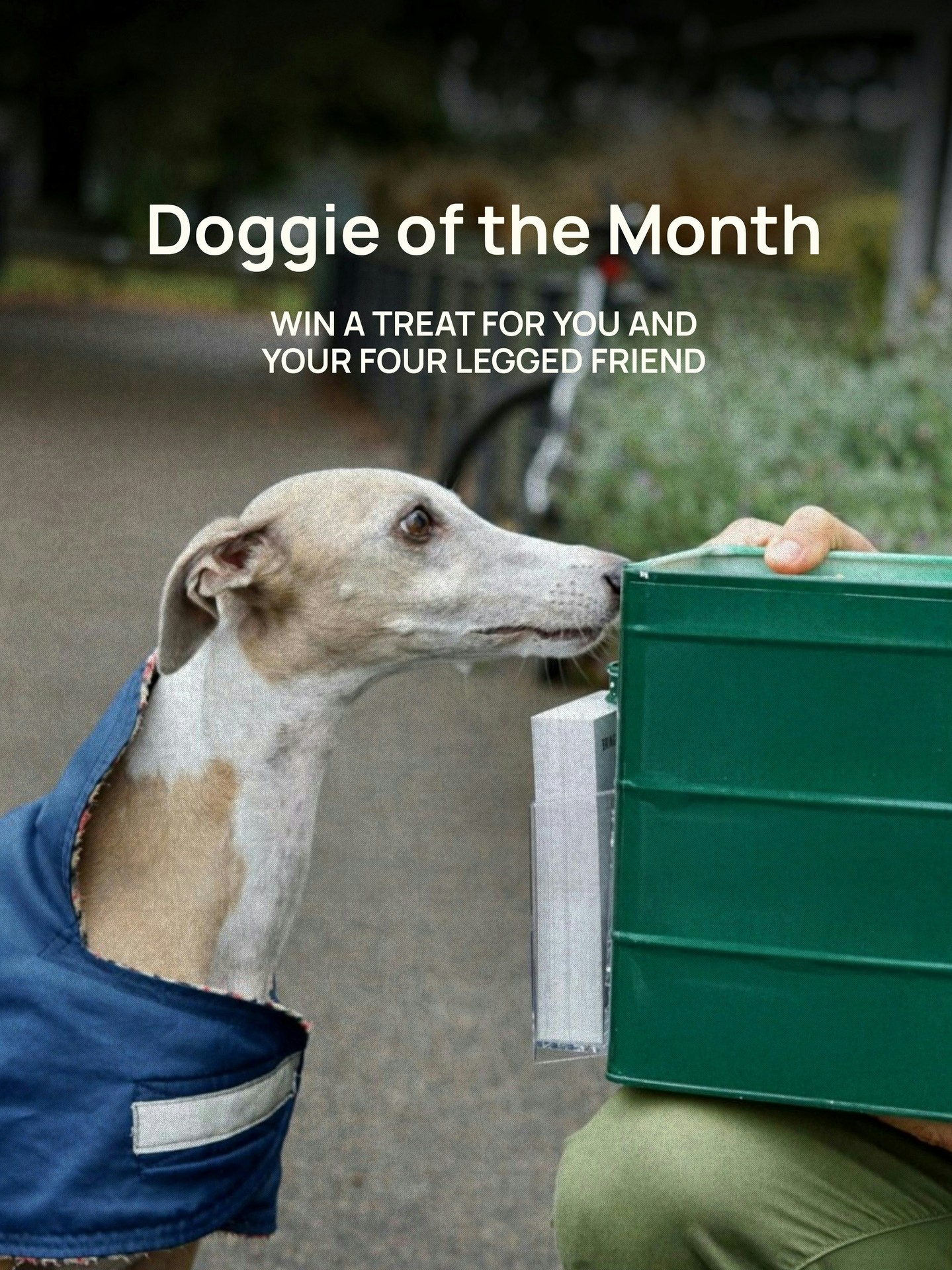 Calling all Wandsworth Common pups (and their humans)! 🐕✨
We’re launching our Doggie of the Month competition for December, and we want to celebrate your favourite four-legged regulars. Whether they’re here for the post-walk head scratches or just waiting patiently for a crumb to drop, it’s their time to shine!
The Prize: One lucky winner will receive a treat for both you and your dog, worth £100! 🎁
How to Enter:
1️⃣ Share a photo of your dog at Skylark Café on your Instagram story.
2️⃣ Tag @theskylarkcafe and @roots_berries.
3️⃣ Make sure you are following both accounts so we can find you!
The Details:
Entries close: 30 Dec.
Winner announced: 1 Jan via Instagram.
We can’t wait to see your entries. Good luck to all our furry friends! 🐾
#DoggieOfTheMonth #WandsworthCommon #SkylarkCafe #LondonDogs #RootsAndBerries #ParkLife