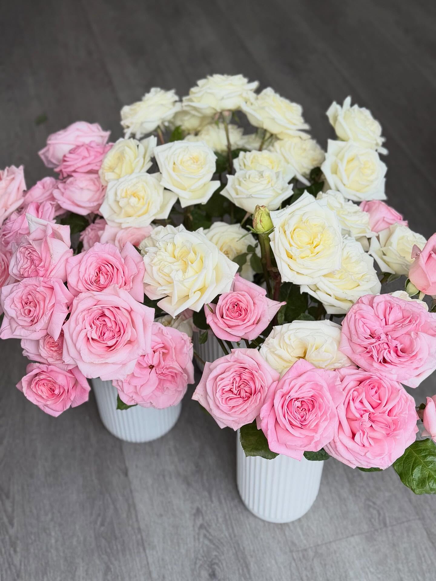 When I was younger, I’d walk home from school slowly… not because I was tired, but because I was busy picking roses along the way. I’d bring them home to Mum, proudly holding out my little stemmed treasures like they were the most precious things in the world.
Maybe that’s where my obsession with garden roses began — their scent, their softness, their way of stopping time for just a moment.
All these years later, nothing compares to the fragrance of a true garden rose. It still makes my heart do that same little flutter. 🌹✨
Here’s to the blooms that shape us, the memories that stay with us, and the beauty we get to share every day.
#floristshop #gardenroses #nostalgicblooms #flowersbelmont #belmontflorist