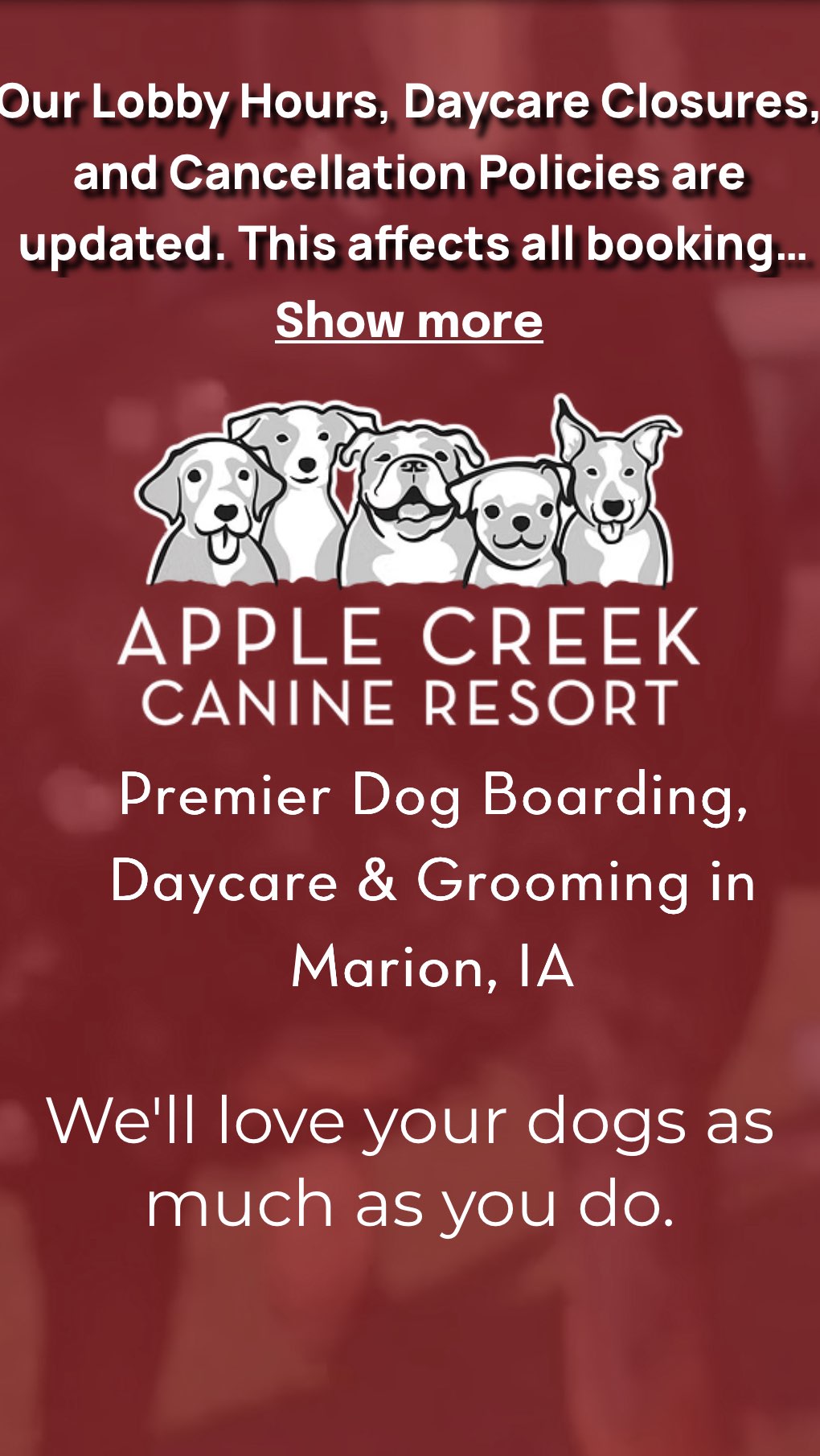 Absolutely honored to hold space at OPE today for Apple Creek Canine Resort. Feeling so grateful we got to dive into the language of energy and how it helps us connect more deeply with our animal friends. 🐾💫