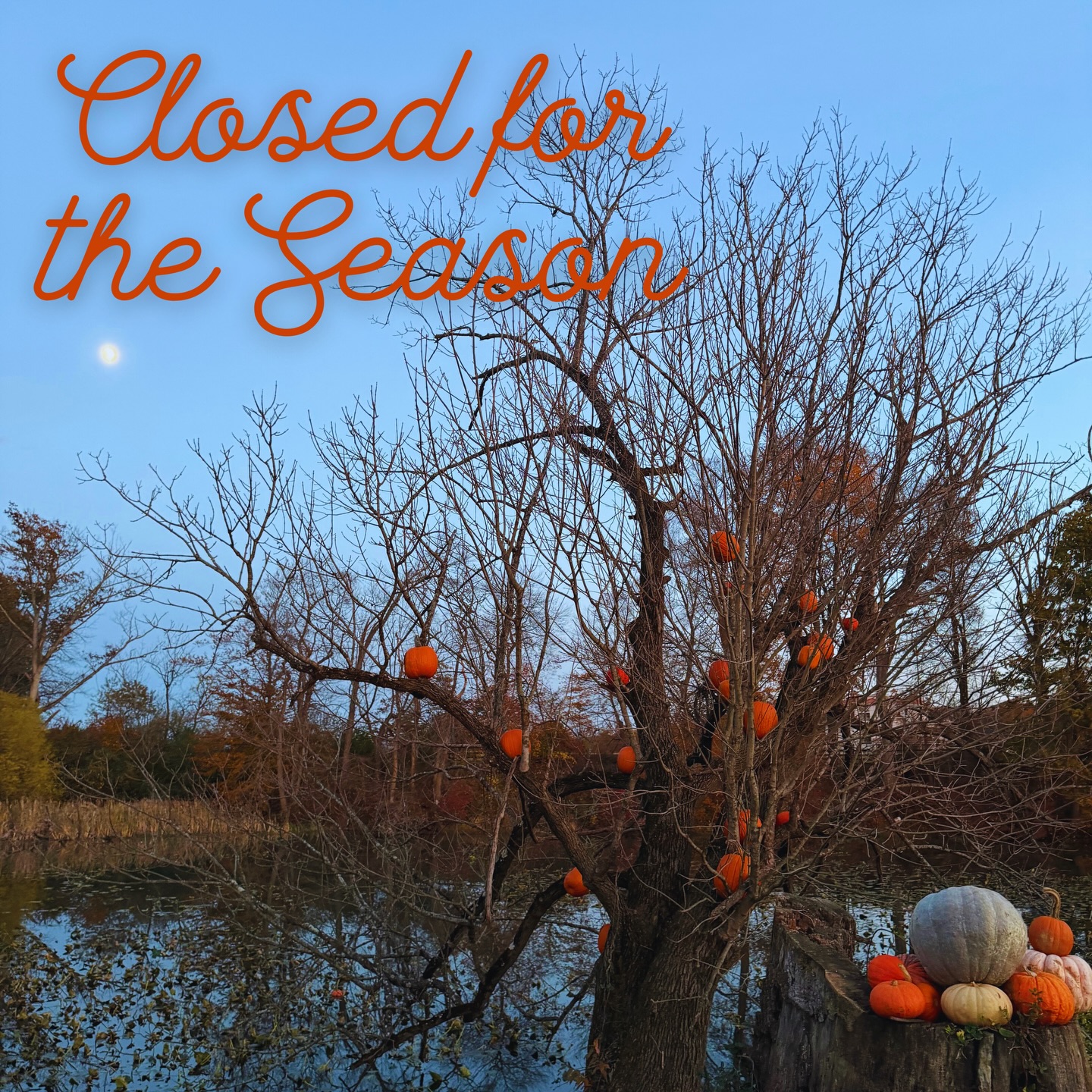 And just like that, another amazing fall season comes to a close! Thank you for making our farm feel alive with laughter, fun, apple picking, and fall magic! In the meantime, we will be resting and brewing up some new ideas for next year! Stay tuned!🍂🧡