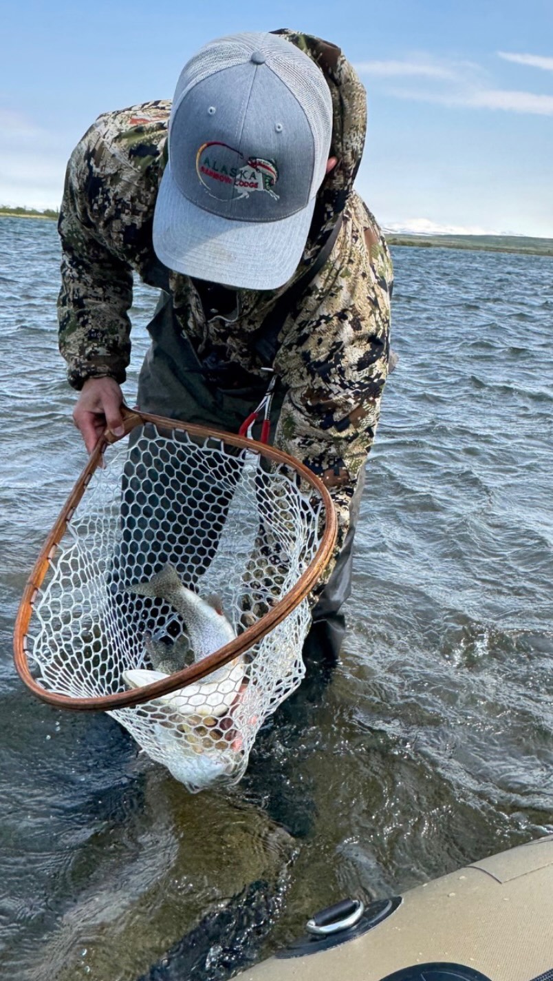 Some fishing trips you might forget, but Alaska is definitely not one of them. Every guest of ours at Alaska Rainbow Lodge has experienced world-class fishing in Alaska’s waters. Every day truly feels like the trip of a lifetime.
Let’s get you and your anglers up here next season. Call us today! #alaskarainbowlodge #alaskalodge #fishinglodge #rivermonsters #alaska #flyfishing #bristolbay