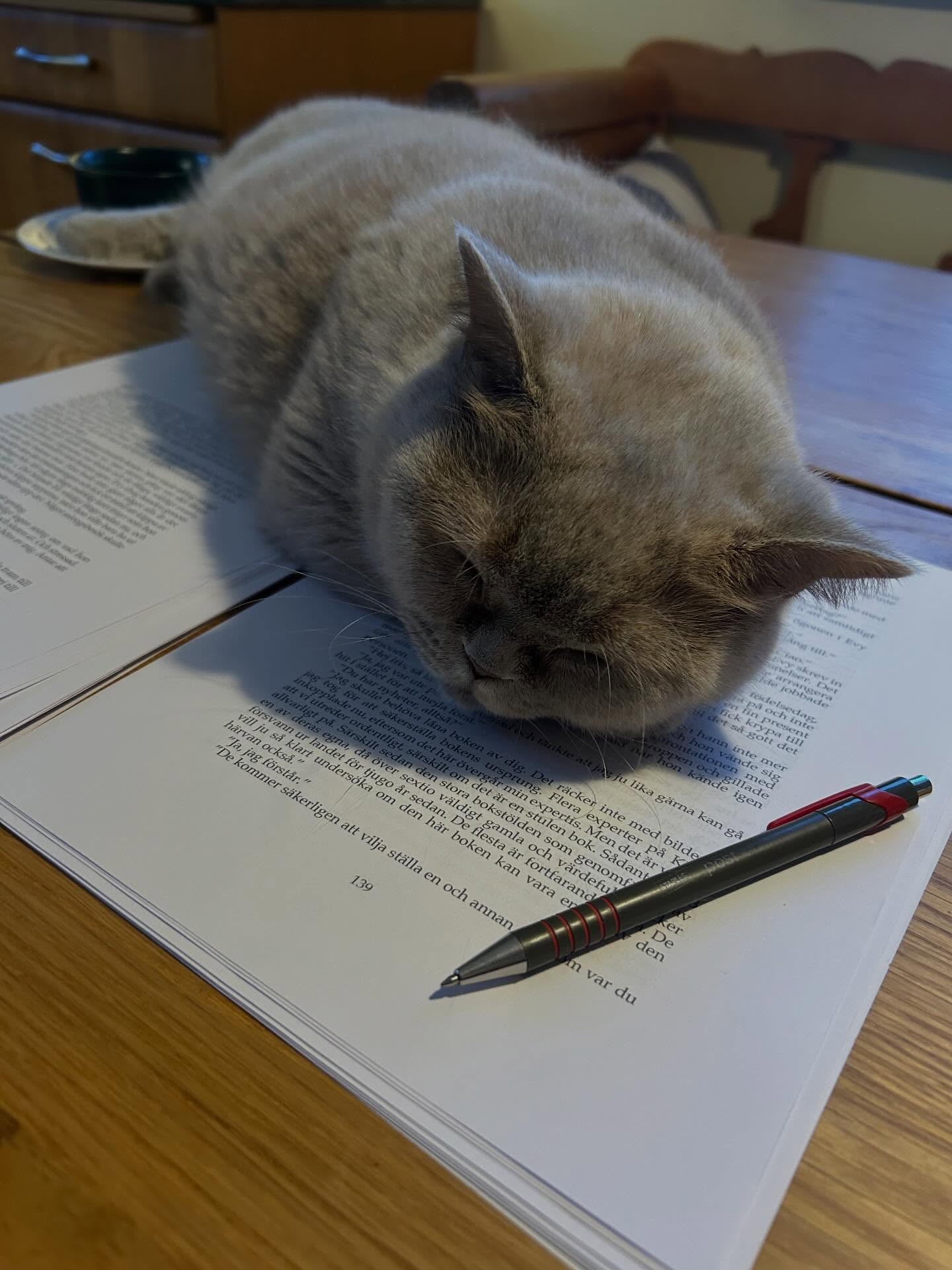 Har bra hjälp med genomläsning av råmanus inför deadline till förlaget på måndag. Det ska nog bli en bok den här gången också.
Detta är del två i serien om Antikboden, denna gång med ett dåtidsplan med en verklig händelse från början av 1700-talet.
#historiskamedia #antikboden #1700tal #råmanus #strängnäshistoria