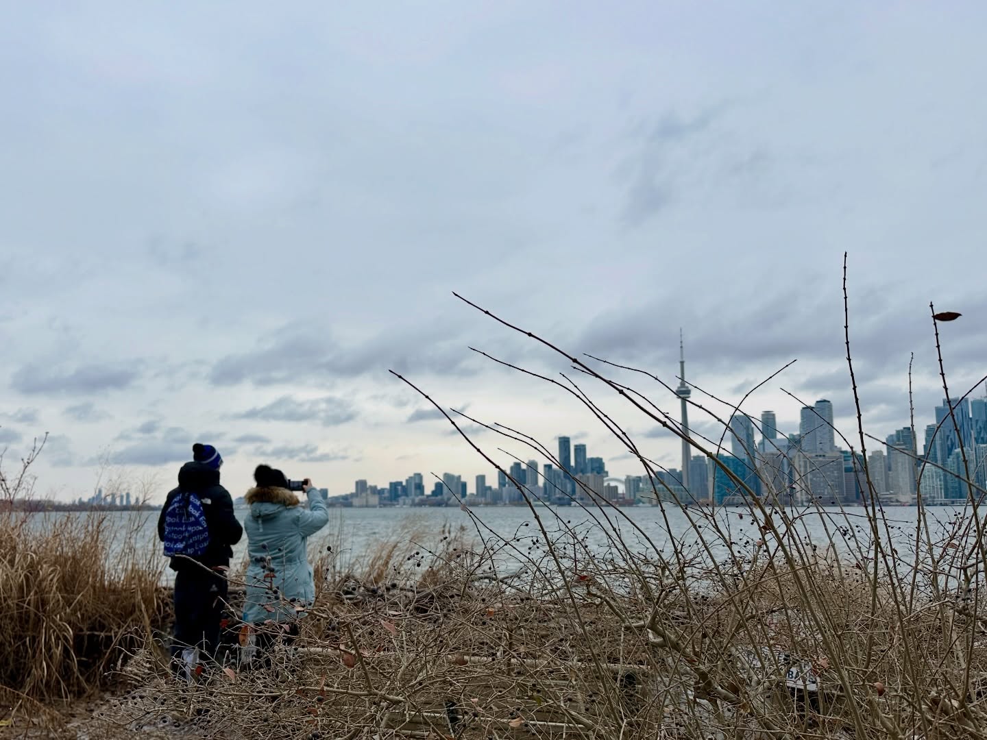 Cold air, quiet paths, and a skyline that never disappoints. ❄️🌆
From the wintry edges of the Toronto Islands, the city feels both close and wonderfully far away. Just bundled-up guests, wide skies, and that moment when we all pause to take it all in.
Winter has its own magic out here - still, spacious, and surprisingly beautiful.
##PedalToronto #WinterWalks #TorontoIslands #ExploreTO