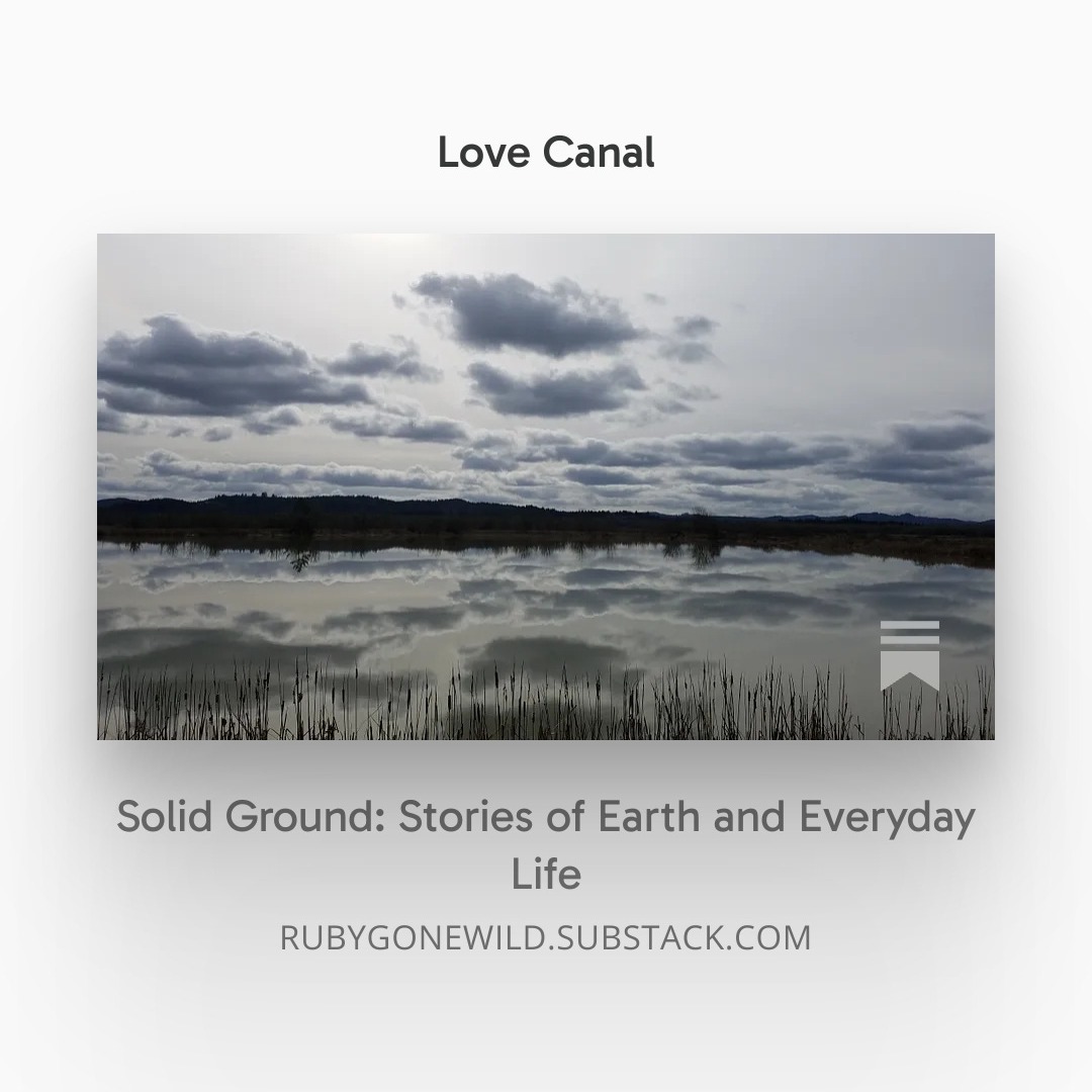 Life goes on, and I am still an independent writer working at the edge of human experience and the environment in a troubled and consequential time. Your support matters and makes my work possible. On Love Canal and the birth of American environmental regulation. Please read, share, and sponsor as you are able. https://rubygonewild.substack.com/p/love-canal