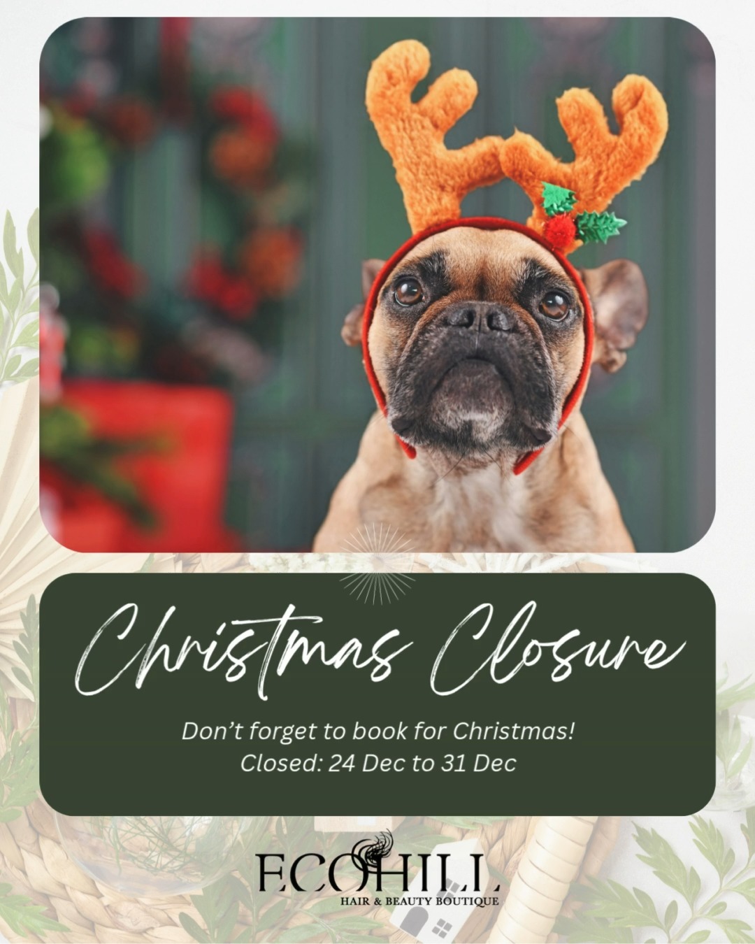 Heads up, beauties! Our Christmas break is just around the corner - we’ll be taking a little holiday pause from December 24 to 31.
If you haven’t rebooked your appointment yet, now’s the time before the rush kicks in and Santa steals all the good spots. 😉🎄
Book now to lock in your glow before we close! 💫
👩🏻💻https://www.ecohillhair.com.au
🖥️ https://bit.ly/3w63ARW
📞+61401370091
#ECOHILLHairBoutique
#25YearsInService
#BoondallSalon
#BrisbaneHairdresser
#BrisbaneSalon
#HairAppointment
#RebookReminder
#ChristmasClosure
#HolidayHair
#BrissyHair
#HairGoals
#SalonLife
#HairCommunity
#SupportLocalSalon
#HairCareTips
#HairStylistLife
#FreshHairFeels
#GoodHairDays
#BookYourAppointment
#TreatYourTresses