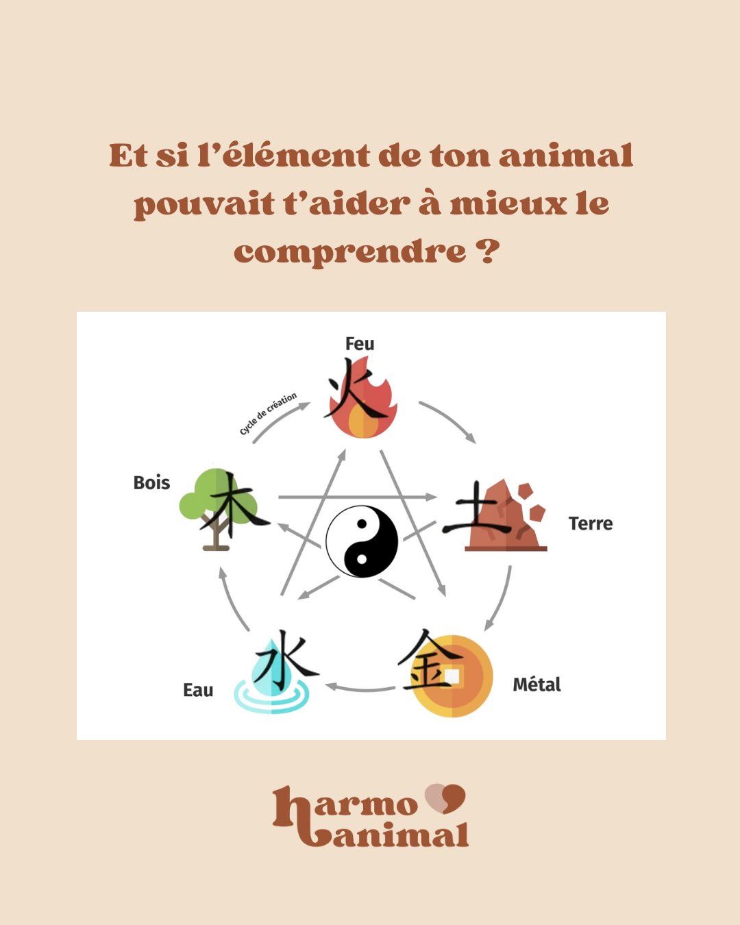 Aujourd’hui, je vous partage un aperçu des 5 éléments, me permettant de toujours mieux comprendre vos compagnons. Ce post t’a plu ? N’hésite pas à partager et commenter ! 🐾✨#harmoanimal #kinesiologieanimale #kinesiologie #communicationanimale #bienêtre #medecinetraditionnellechinoise #merignac #bordeaux #gironde