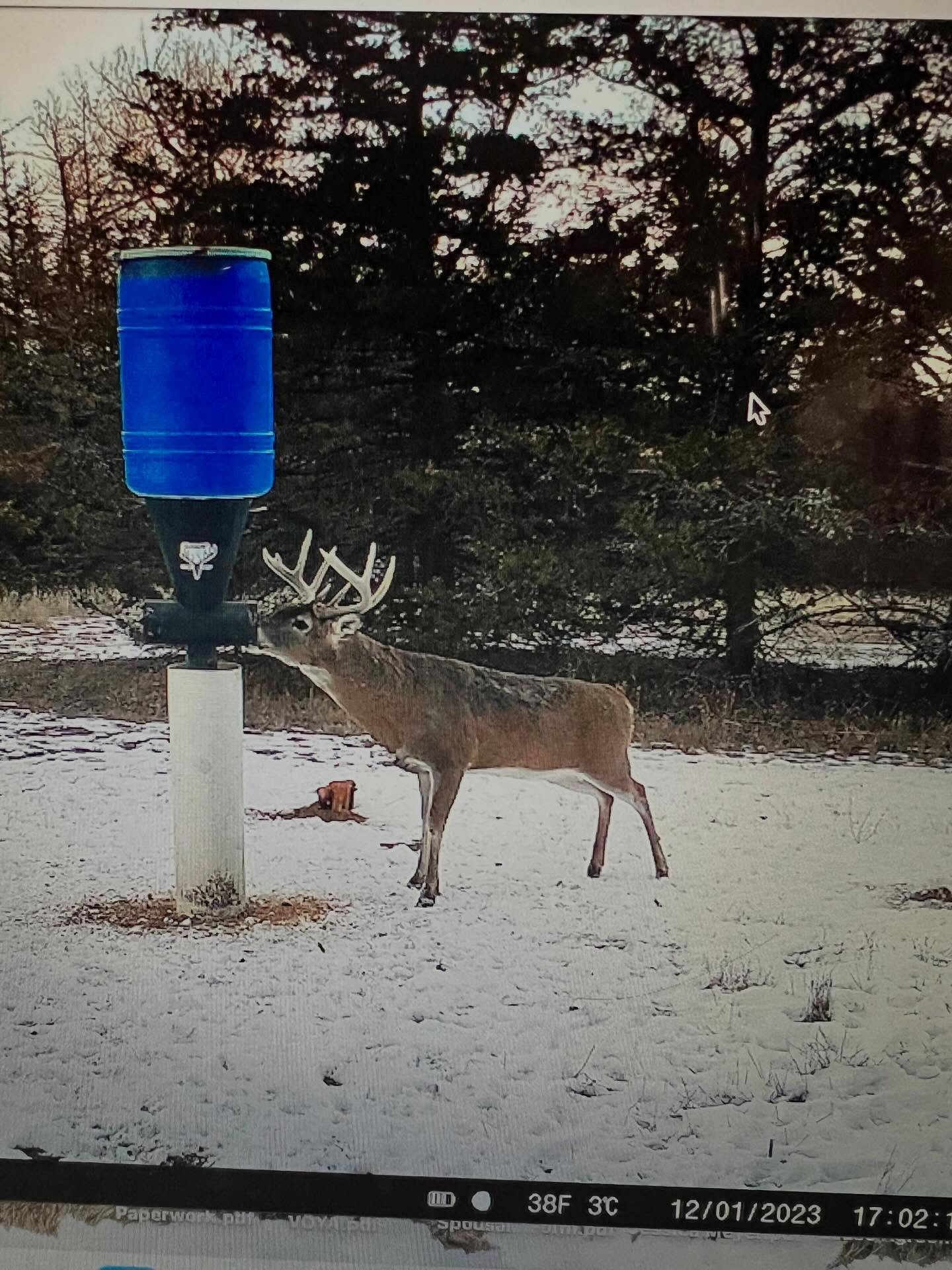 It’s opening day of Muzzleloader Season here in Nebraska! Good Luck if you’re hunting! If your tags are filled Congrats!
POST RUT PLAN: Provide Effective Nutrition. All deer, especially bucks, are run down and stressed out from the rut and hunters this time of year. The nutrition provided by mother nature is becoming harder to find. To help make sure that your deer herd is ready to endure the harsh months ahead, now is the time to provide them with a little help. We are not talking about a low quality nutritional option like only corn. Do your research and look for a professionally formulated supplement that meets the needs of the animal. Our Fall/Winter Pellets are built specifically for this purpose. Boasting 5 sources of protein, great fat content, high bioavailable ingredients, improved blood flow to help with circulation and decrease stress, plus boosts rumen function. This feed is the total package to help your herd during the toughest and most stressful time of the year. Don’t just HOPE your deer survive. Help them recover from the rut and be fat and happy as the temps drop and snow season sets in.
.
.
.
#trysome #fallwinterpellets #postrut #nutrition #rumen #protein #fat #vasodilatador #totalpackage #deerfeed #hunting #bowhunting #deer #winter #happyherd #healthherd #getoutdoors #whatgetsyououtdoors #nxtleveldeersupplements #letemgrow #takeyourdeertothenxtlevel