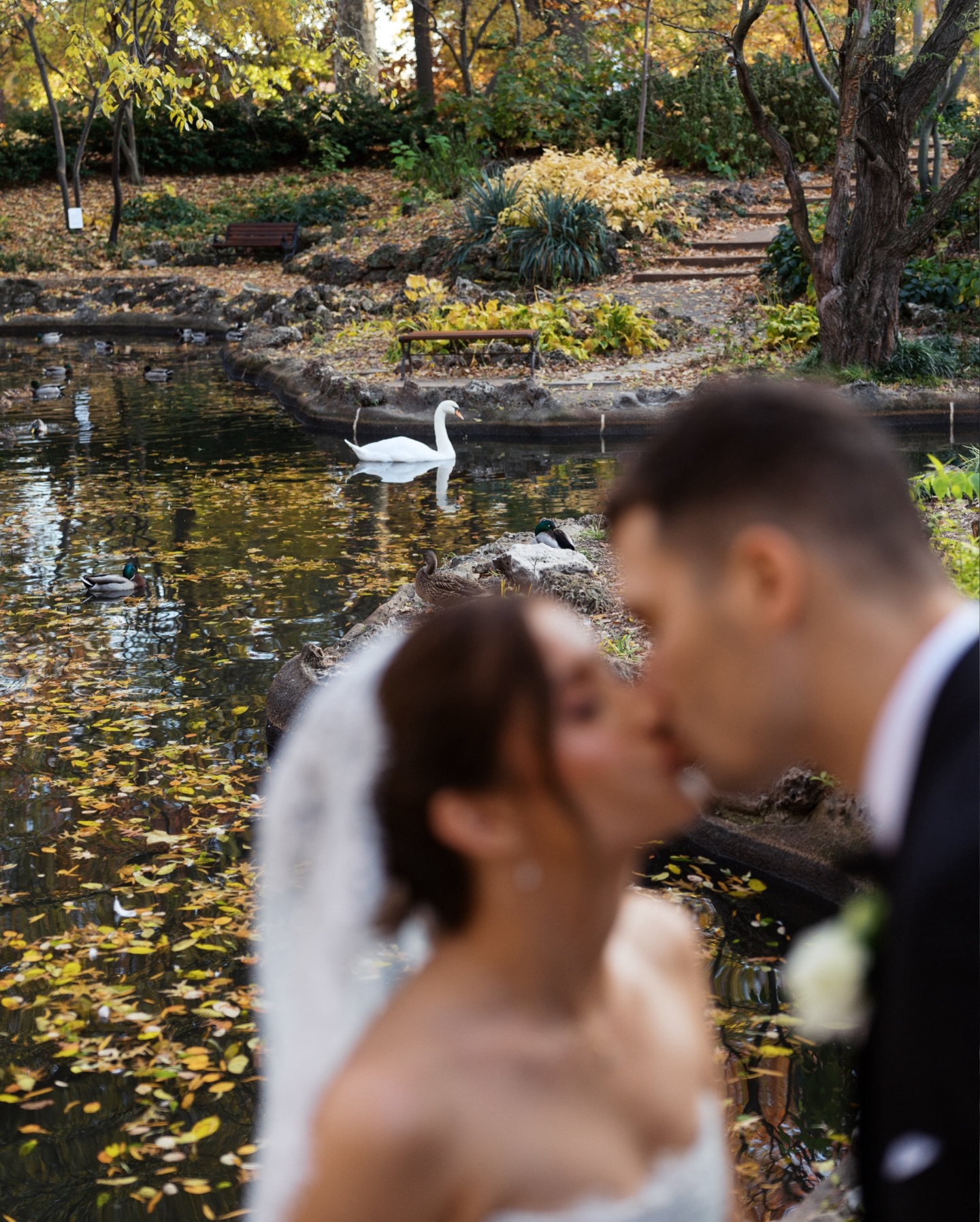 Friends, I’m begging you. Consider Lafayette Park for your portraits. 🦢 It’s beautiful year round, but imagine you’re getting married next Fall and THIS is your vibe? Immaculate. 🤌🏼😘
•
•
Styling + Wedding Management: @hawthornecreativeco_
Photographer: @sophieaxiemaephoto
Ceremony Venue: Seven Holy Founders Catholic Church
Reception Venue: @unionstationstl
Florist: @rouge_events_design
Coffee Cart Rental: @edencoffeecart
Band: @griffineventsstl
Photo Booth: @elemntphotoboothco
Cake: @thecakerystl
Hair + Makeup Artist: @club_bb_ + @norybeebe
Transportation: @platinumtransportationstl
Dance Floor Rental: @klean_rental
Late Night Snack: @imospizza
Bride’s Gown: @thebridalparlour
Bridal Party Dresses: @showmeyourmumu
Groom’s Party Attire: @menswearhouse
Save the Dates: @mintedweddings
•
•
st. louis wedding planner, missouri wedding coordinator, st. louis wedding coordinator, st. louis wedding venue, missouri wedding planner, southern illinois wedding coordinator, southern Illinois wedding planner, unique wedding design, st. louis day of wedding coordinator, wedding day coordination in st. louis, 2026 bride, 2027 bride, 2026 groom, 2027 groom, engaged 2026 couples, engaged 2027 couples, stress free wedding planning in st. louis, st. louis wedding photo locations, fall weddings, fall 2026 wedding, st. louis wedding photographers #weddingplanner #weddinginspo #weddingday #engaged #2026bride