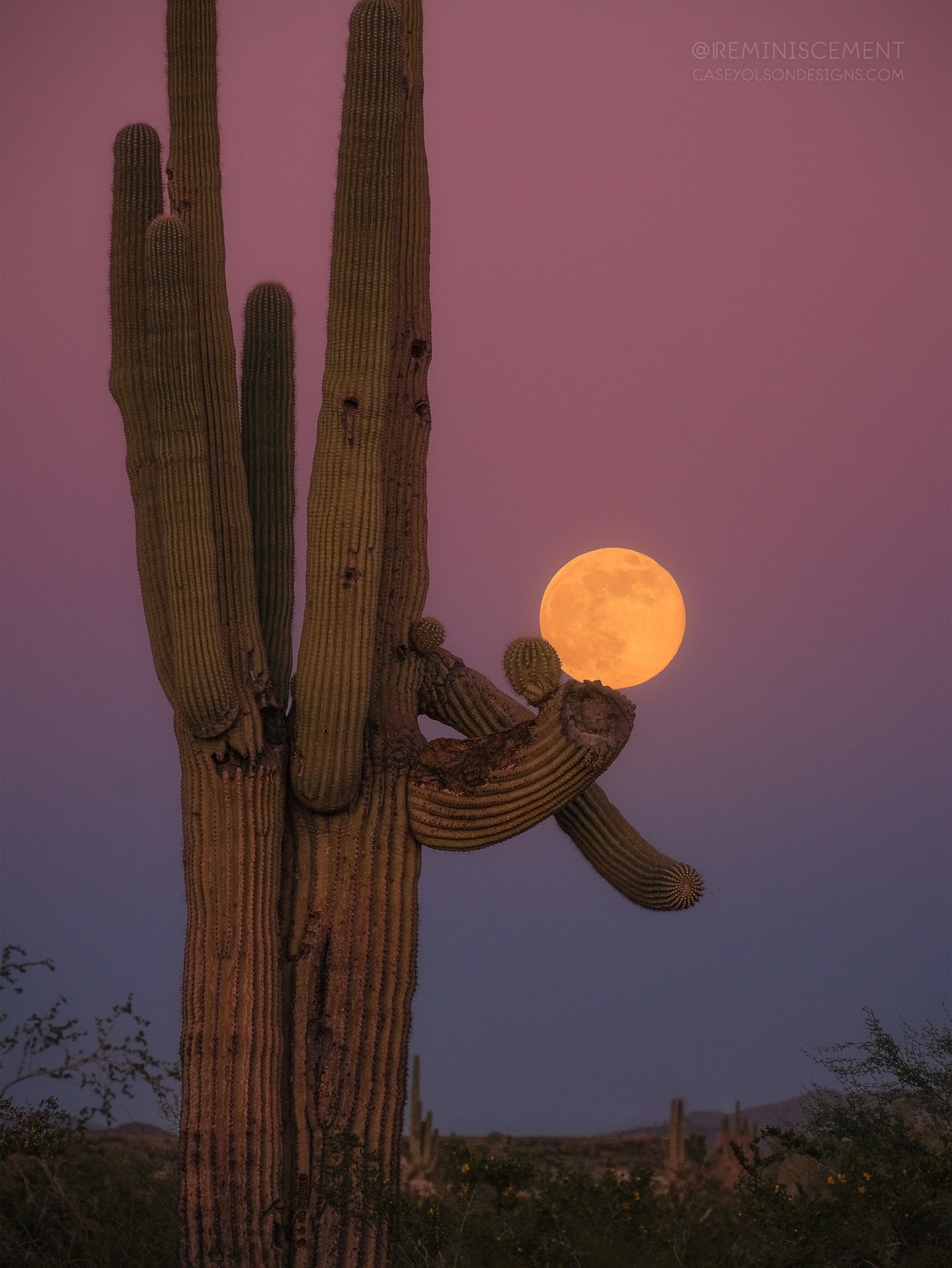 Full cold moon rising on Thursday night. Life has been so busy lately it was nice to have a night out there to myself to breathe the calm all in. ๐๐ I loved how this cactus seemed to be holding up the moon. Made me think of how much my sky chase adventures heal me and hold me up.
Tomorrow is my Dadโs birthday and one year anniversary of planting a cactus garden with his ashes. I still feel him with me when Iโm in nature looking up at the sky. He loved cactuses as much as I do and knew all the different types of desert plants and cactuses. Even though the house he built our family was on 3.3 acres of lush desert landscape he still planted endless cactuses and blooming plants in the yard anyway. I miss him every day. And wish he was here telling me all the plants, cactuses, and bird types in da whole world.
Thanks to everyone who has bought a 2026 Calendar so far. Your support for my small biz means the world to me. ๐ฅน๐