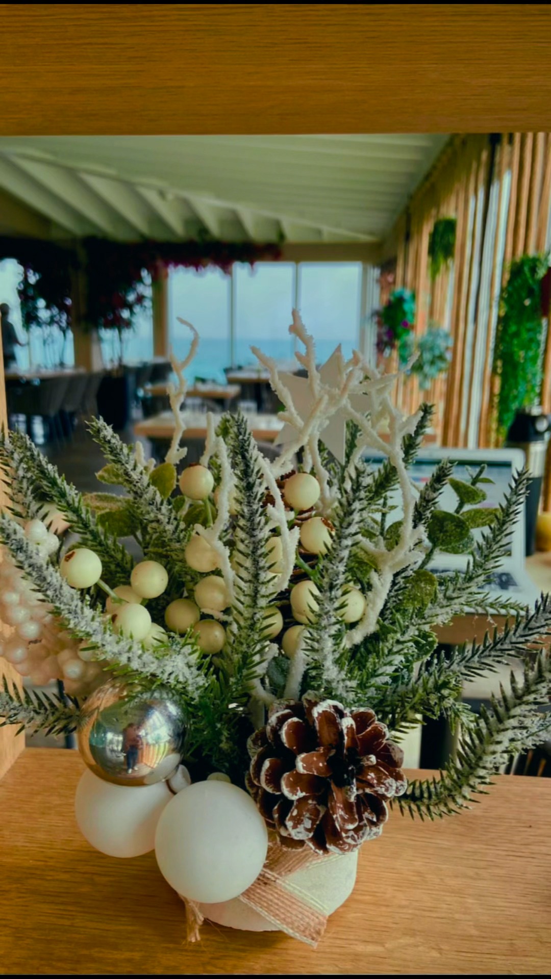 Achilles Family added a sprinkle of love and magic this week, and suddenly Christmas feels a bit closer✨🎄💫
#AchillesChristmas #ChristmasCountdown #FestiveSeason #HolidayJoy #HolidaySeason #ChristmasMagic #ChristmasTime #TisTheSeason #SeasonOfJoy #HolidayVibes #CountdownToChristmas