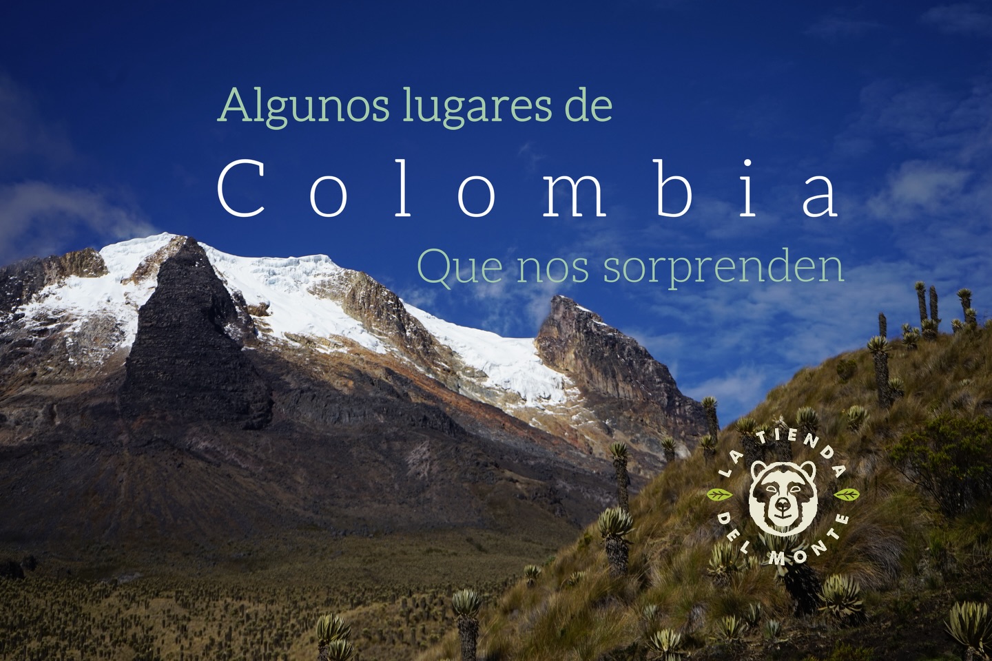 Colombia 🇨🇴 (favorita #4)
No deja de sorprendernos!!!
Estos son algunos lugares impresionantes que puedes visitar. ¿Ya los conoces?
Cuál es tu lugar favorito de este hermoso país?
www.latiendadelmonte.com
#colombia #naturaleza