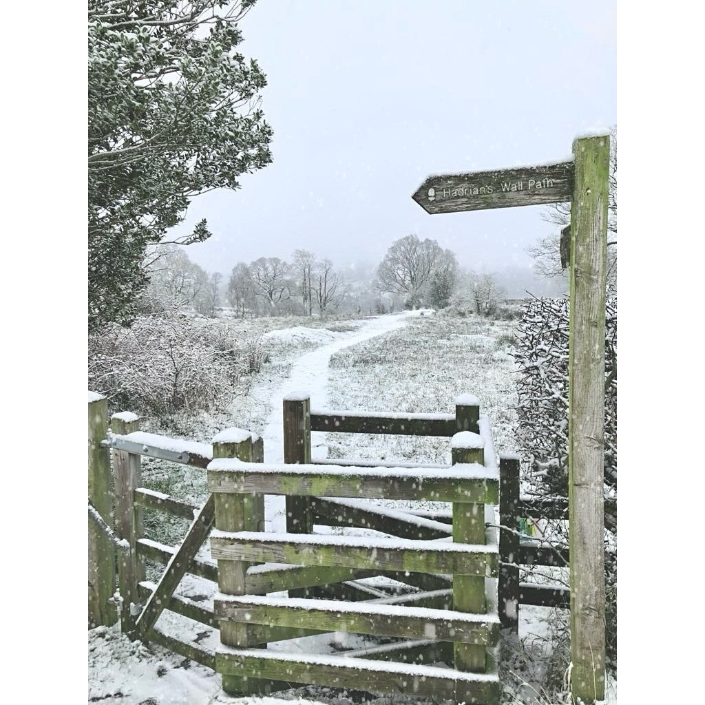 ❄️ Festive Midweek Breaks ❄️
1-21st December
Get 20% off per night from Sunday - Thursday