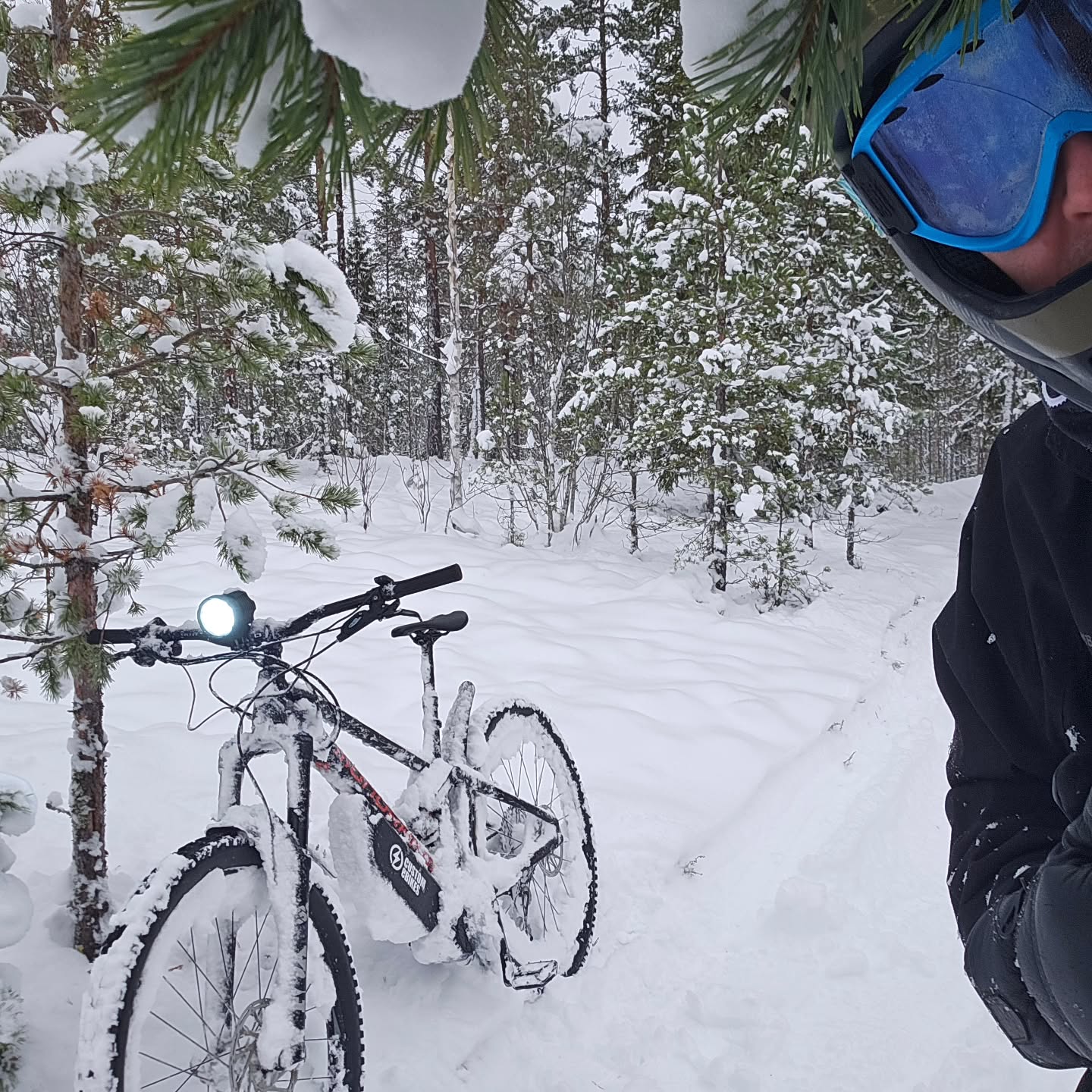 SNØ!!! Endelig er den her. Med et motorkit fra #Customebikes.no blir favoritt sykkelen raskt bygget om til en snøscooter! Mye morro.
Fatbikes sykler fungerer enda bedre på snø.