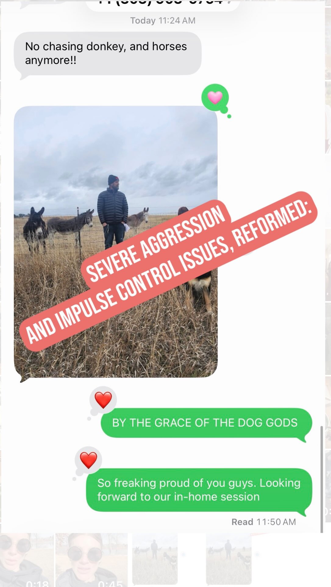 These two gorgeous dogs came to us dragging and lunging on the leash, with zero recall, and climbing fences back at home to attack other dogs. They were getting their owners into some serious trouble and wreaking havoc.
Got this text today 🥰🥹🙌🏼👌🏼
Link in bio- enroll to get control, peace, and to mitigate stress & liability with your dogs this holiday season and beyond!
#DenverDogRehab
#AggressiveDogTrainingDenver
#ReactiveDogSpecialist
#DenverK9Behavior
#BalancedTrainingDenver