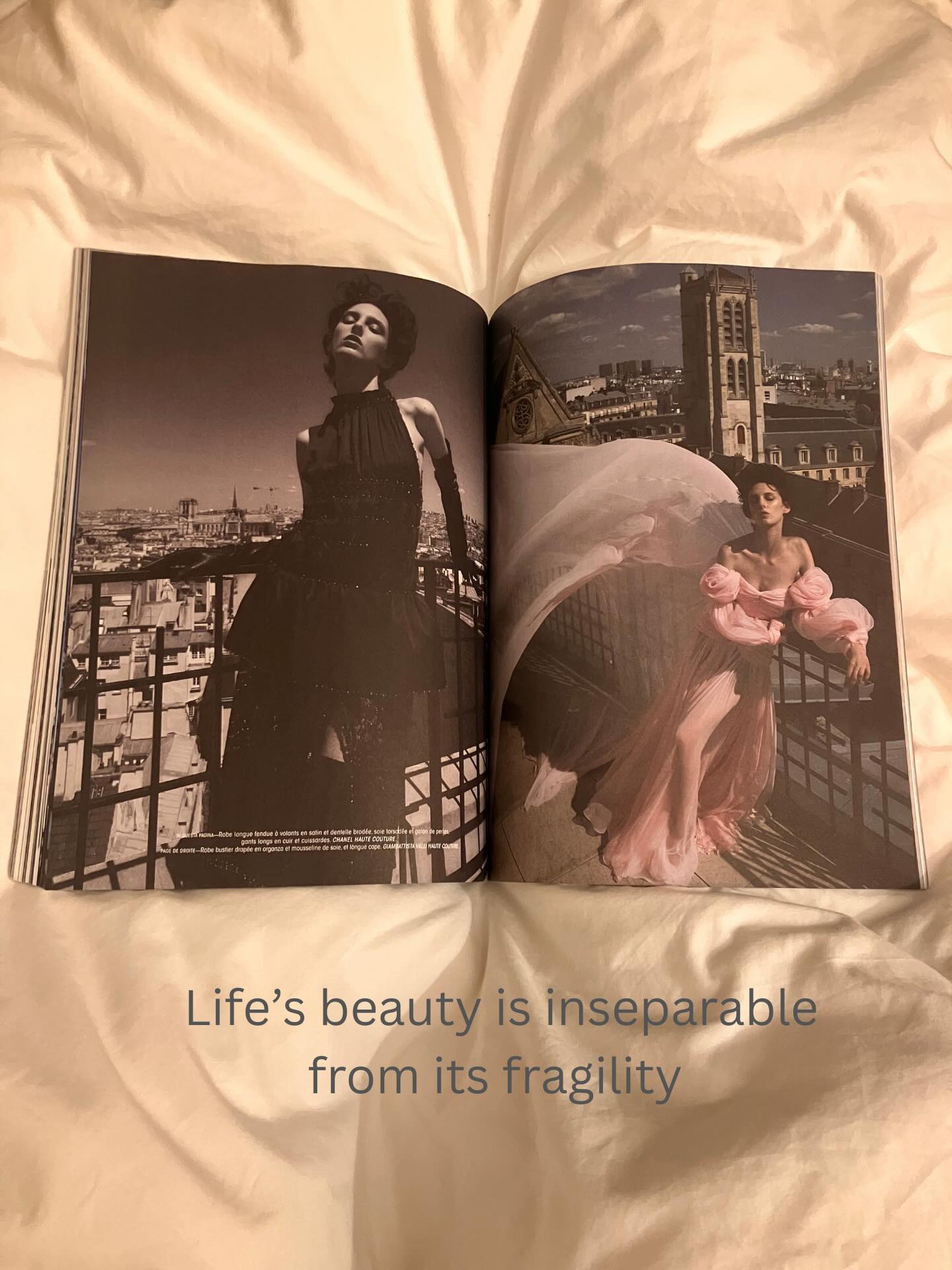 Beauty in appreciation of #fragility #sundayphilosophy #sundaymood #firstadvent