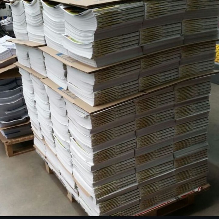 ✨ Natura Editors is officially live! ✨
We’ve started full book production and we’re ready to bring your story to life. 🌍📚
If you have a book, a children’s story, a guide, or any editorial project, get a quote with us.
We’ll support you through the entire process—design, illustration, layout, publishing, and distribution.
And you can proudly carry our editorial seal on your work. 🐾✨
📩 Message us and let’s start creating editorial magic together.
——-
✨ ¡Natura Editors ya está en marcha! ✨
Comenzamos oficialmente la producción de libros y estamos listos para llevar tu historia al mundo. 🌍📚
Si tienes un libro, un cuento infantil, una guía o cualquier proyecto editorial, cotízalo con nosotros.
Te acompañamos en todo el proceso: diseño, ilustración, maquetación, publicación y distribución.
Y además podrás llevar nuestro sello editorial en tu obra. 🐾✨
#NaturaEditors #BookPublishing #EditorialSeal #KidsBooks #IllustratedBooks #AuthorLife #CreateYourBook #SelfPublishingSupport #Storytellers #IndependentAuthors