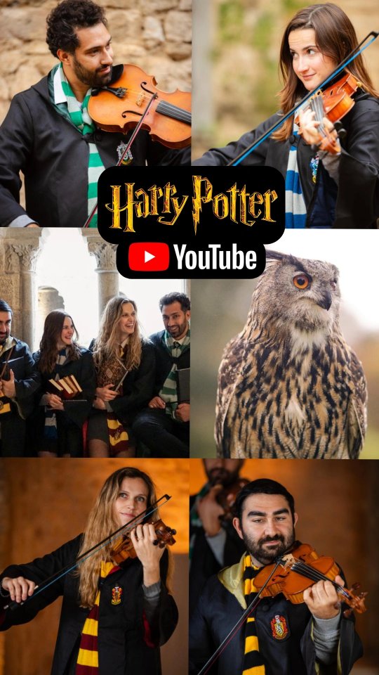 ⚡🎻 NOUVEAU CLIP EN LIGNE SUR YOUTUBE 😍
Après des mois de travail, on est très fiers de vous partager notre dernière création : un clip très scénarisé qui change de tout ce que l'on a fait jusqu'à présent.
Vos retours sur YouTube comptent énormément pour nous, alors on a hâte de vous lire ! 🥰
👉 Lien direct dans la bio !
🎥 @doriane.b13
🏰 @notredamedeconil
⛪️ @abbayedelacelle
🦉 @esprit.fauconnerie
🛰 @tech_n_drone
📷 @clemenced_photographie
📸 @aurelien.slmn
🎻 @coruss_hair
🎙 @etiennecambois
🎼 @johnwilliams.music
✍️ @wtchagi
Clip | Harry Potter | Violon | Musiques de films | John Williams | Quatuor à cordes | Reprise | Poudlard | Hogwarts | Soundtrack | Instrumental cover |
#violin #violincover #instrumental #sudest_focus_on #violins #violinistsofinstagram #violinplayer #violinlove #musiciansofinstagram #ig_france #ig_europe #cover #instrumental #instrumentalcover #moviemusic #soundtrack #ost #harrypotter #johnwilliams #harrypottercover #potterhead #harrypotterfan #wizardingworldofharrypotter #harrypottermemes #johnwilliamsmusic #harrypotterfanpage
@harrypotter_jp_official
@harrypotterworld
@harrypotter.global
@potterclub.insta
@hogwarts.station
✨️