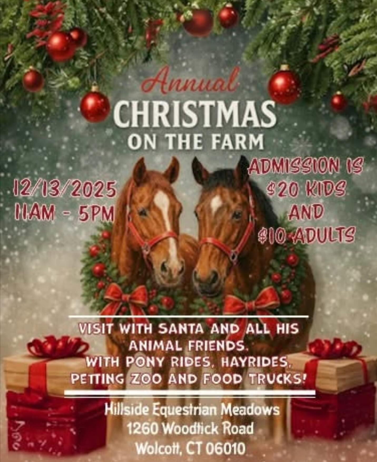 Come see us on the farm this Saturday from 11-5pm‼️Enjoy some Hot chocolate and Churros ☕️ 🎄🎁🎅