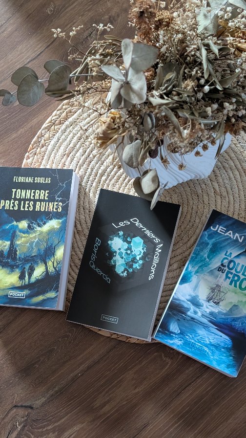 Trois nouvelles réceptions de chez @pocketimaginaire !
Avez-vous lu un de ces livres ? ☺️
#bookstagram #booklover #unboxing #passionlecture #lecture #lecturepassion