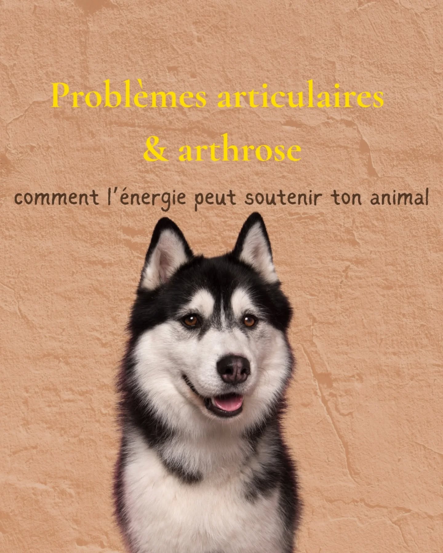 Les chiens qui vieillissent vivent des ajustements profonds dans leur corps :
les articulations tirent, les raideurs apparaissent, les saisons les impactent, et certains signaux passent inaperçus, jusqu’au jour où ça devient trop.
L’histoire d’Havanne montre quelque chose d’important : l’arthrose n’est pas qu’une question physique, c’est aussi une question d’énergie, de charge émotionnelle, de circulation, de limites à respecter.
Sa toux venait d’un déséquilibre du chakra gorge, sa gêne articulaire d’une fatigue globale, et son corps réagissait très fort aux changements de saison.
La communication animale a permis de comprendre ce qu’elle vivait, et le soin énergétique lui a apporté du confort, du mouvement, et une respiration nouvelle.
Aujourd’hui, un suivi trimestriel l’aide à traverser les saisons plus sereinement, sans attendre que la douleur revienne trop fort.
Si ton animal vieillit, si l’arthrose s’installe, ou si tu sens que quelque chose se rigidifie dans son corps ou son énergie, tu peux m’écrire.