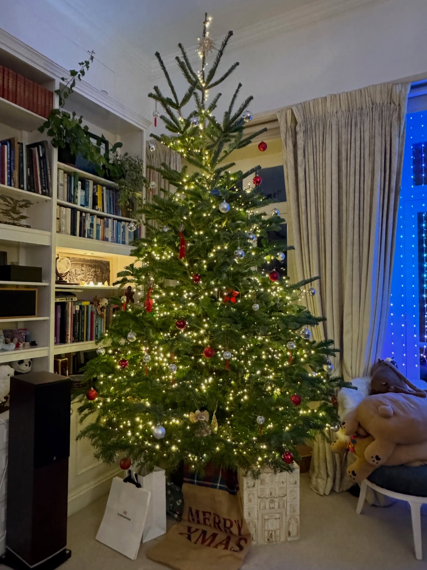 📸: Alan B
We love receiving customer photos of your trees all decorated! Feel free to send us them over via email or DM (I’d love to do a carousel post at the end of the season with all of them grouped together!) 🎄✨