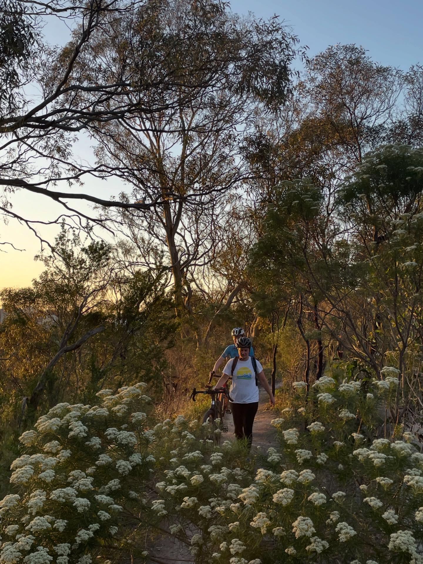 Second last Durt for the year! Come soak it in. Tomorrow (Wed), 6:15 for 6:30 roll out. Meet at Darling gardens rotunda. All experience levels welcome!