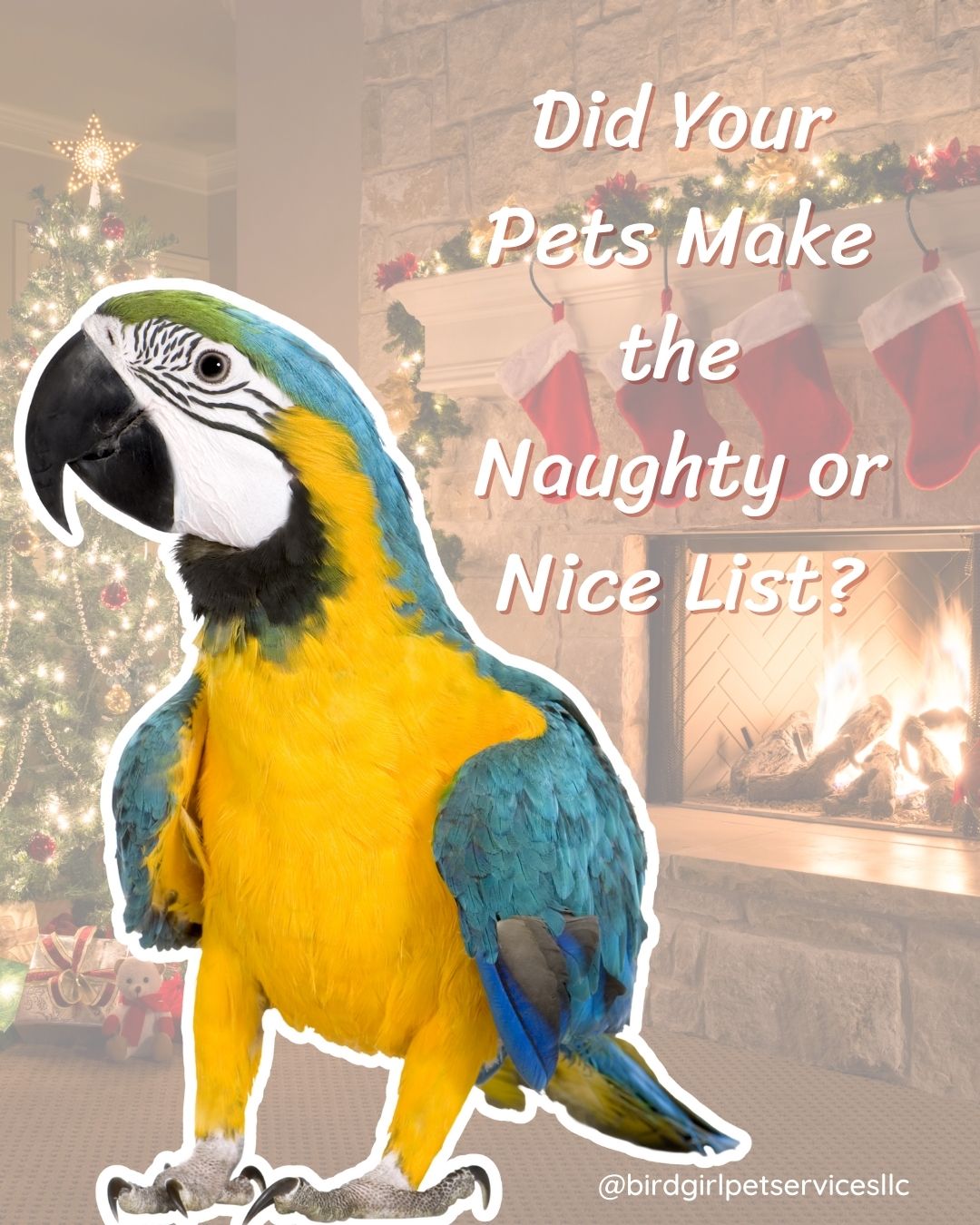 Merry Christmas to all my Long Island pet parents. 🎄
Some pets nibble wrapping paper.
Some take down the whole tree. 😂
They’re always on the nice list in my book.
Wishing you and your pets a cozy and loving Christmas Day.