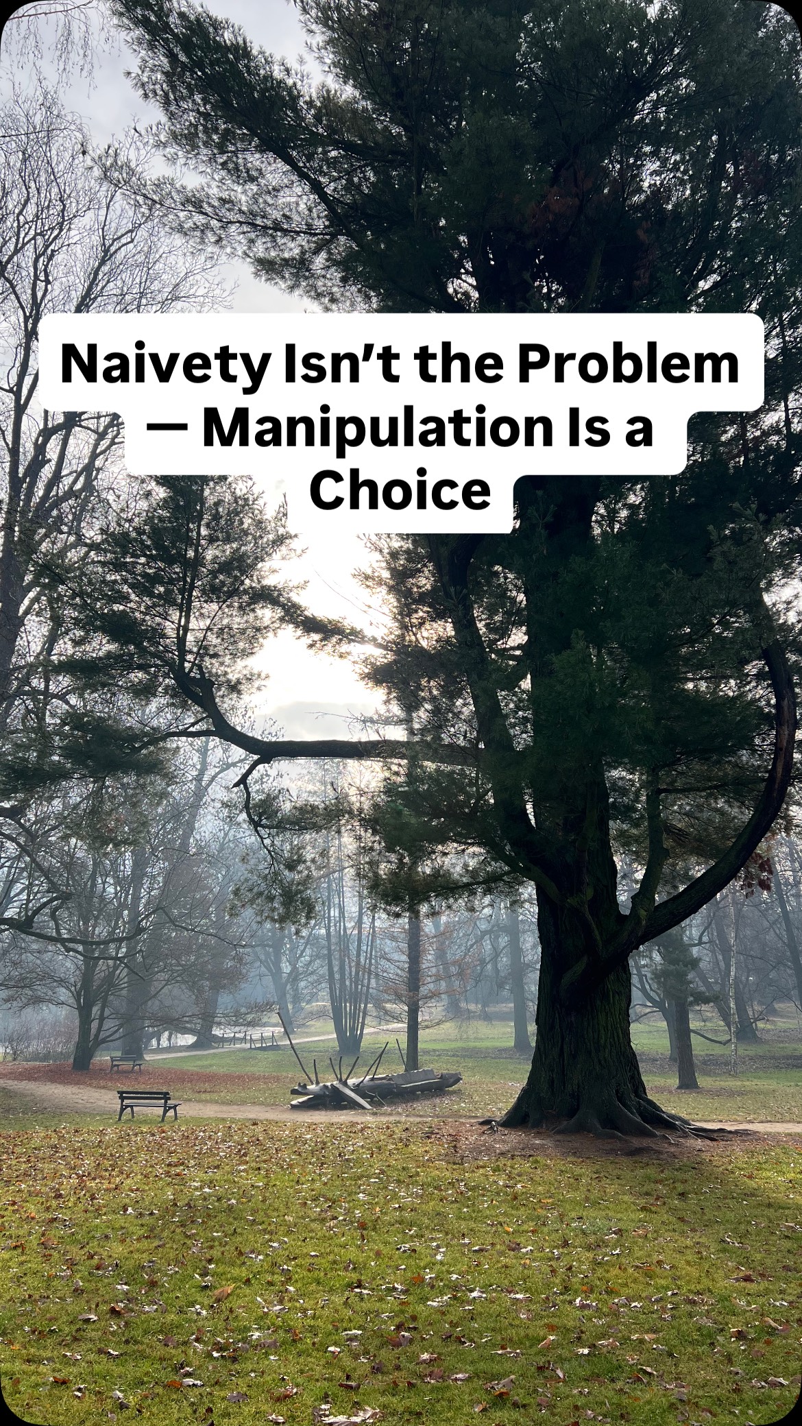 Some call her naive. That she believed, trusted, didn’t see it coming.
But think about it — when you meet someone naive, what’s your instinct?
To protect them? Or to use them?
Because exploitation is never about someone’s naivety — it’s about another person’s choice to manipulate.
Integrity means protecting what’s pure, not preying on it.
What’s your experience with being called naive?
#HealingJourney #EmotionalAwareness #IntegrityMatters #EmpathyOverManipulation