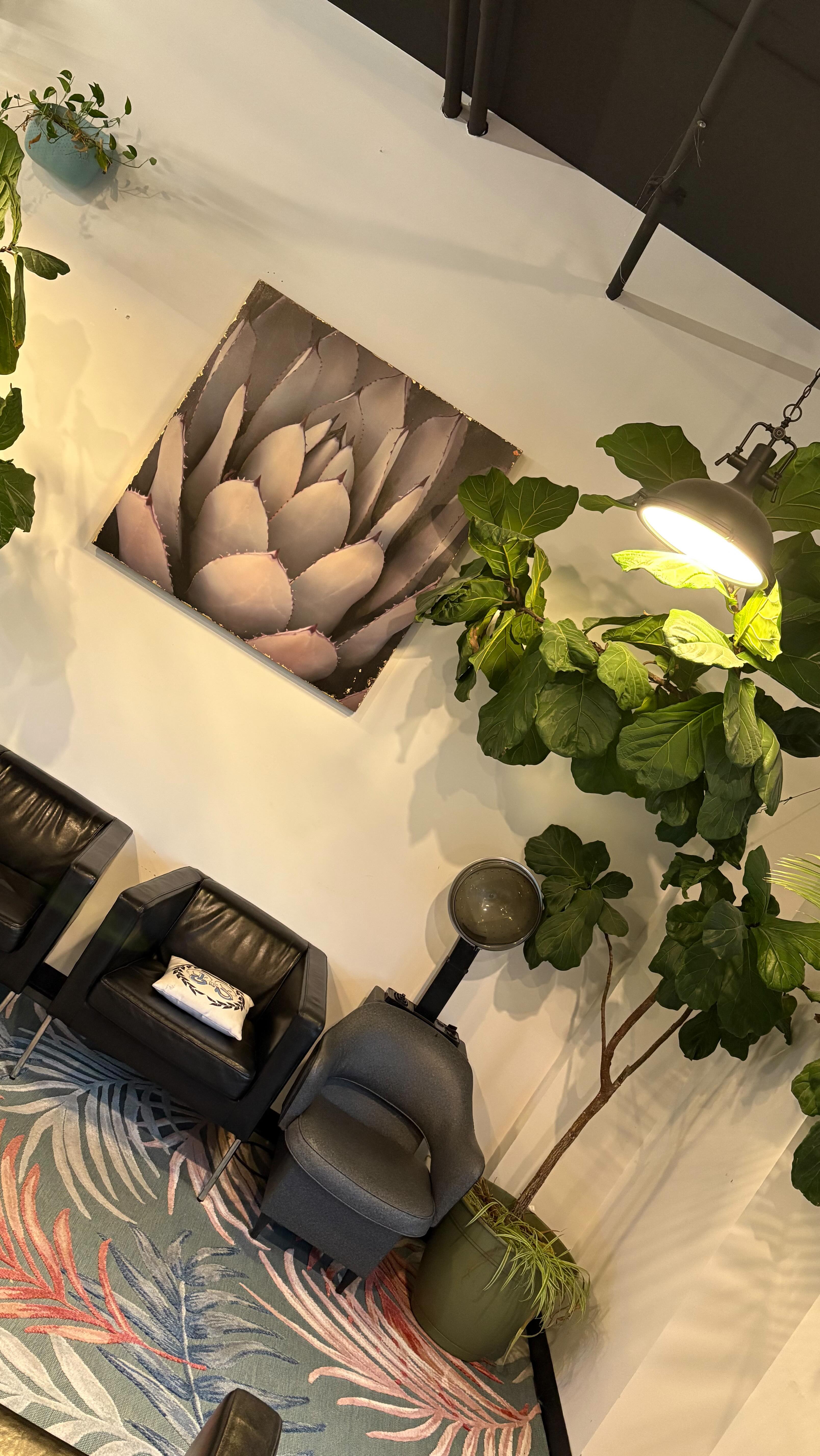 Blonde is a life style ♥️
@scott.sjb_
#iowa #ames #amesiowa #iowahairstylist #ameshairsalon #redken #ameshairstylist #iowahairsalon #loréal #lorealprofessional #lorealhair #lorealhaircolor #blonde #blondehair #blondebombshell