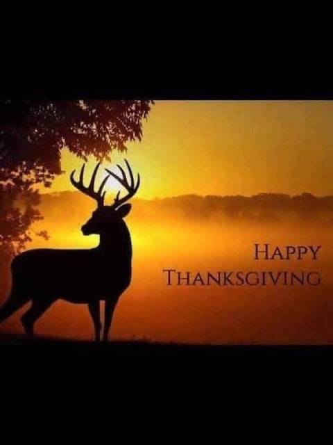 Happy Thanksgiving!!