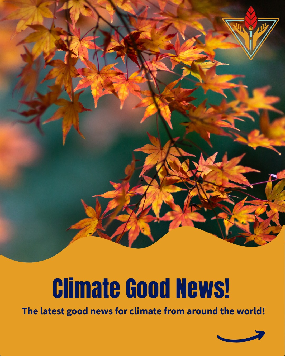The latest Climate Good News! 🌏
1. This month, the European Union added climate education to it’s Nationally Determined Contributions (NDCs) under the Paris Agreement. 📚
2. Ecuador’s constitution has recognized nature’s right to exist since 2008. Last week, Ecuadorians rejected a proposal to change their constitution that threatened this legal recognition of nature’s rights. 🍃
3. The North Atlantic Right Whale is one of the rarest in the world, and it’s population has increased 7% since 2020, after a decade of decline. 🐋
4. The Clean and Reliable Grid Affordability focuses on improving energy grid infrastructure and increasing battery storage, which will support a renewable energy transition over next 25 years.☀️
#ClimateGoodNews #ClimateWins #PositiveClimateNews #GoodClimateUpdates #HopeForThePlanet #ClimateProgress #SustainabilityWins