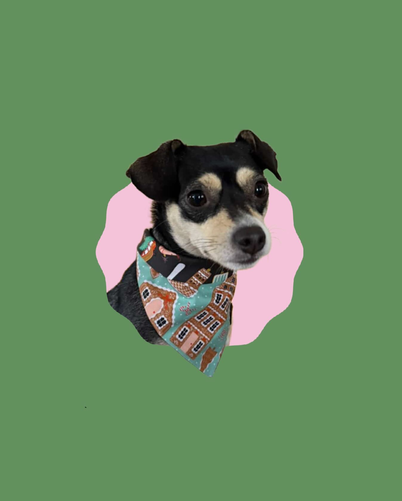 🎄 o Christmas pups, o Christmas pups, how stylish are thy ‘danas 🎄