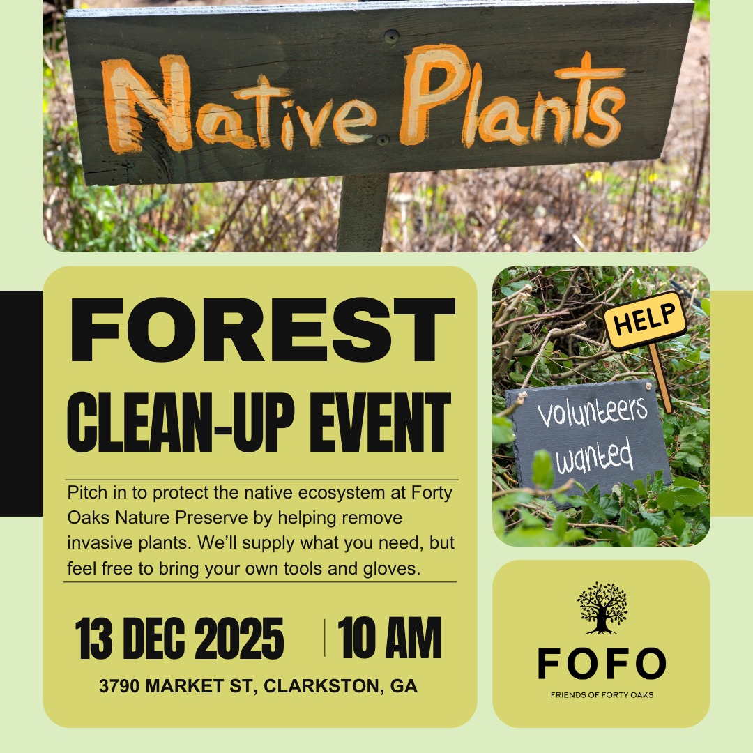 🌿 Join us for a Forest Clean-Up at Forty Oaks!
We’ll be removing invasive plants so native species can thrive again.
Tools and gloves provided — and if you have your own, bring them along!
Saturday, December 13 • 10 AM