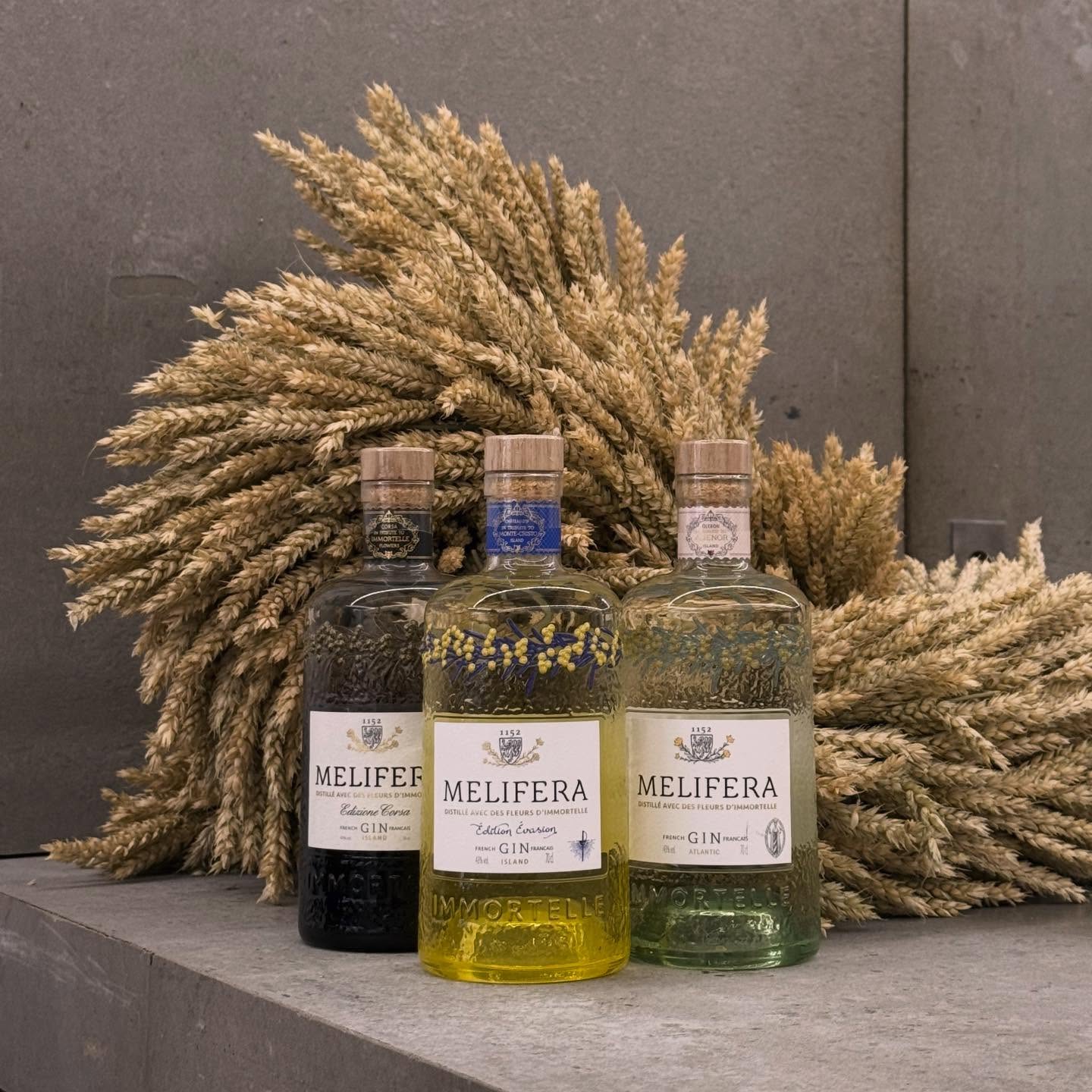 🌿 Melifera débarque en décembre dans nos trois caves !
L’équipe viendra vous faire découvrir ses gins d’exception lors de trois dégustations :
• Lens – vendredi 5 décembre
• Valenciennes – vendredi 19 décembre
• Lille – samedi 20 décembre
L’occasion parfaite pour découvrir la gamme et échanger directement avec eux.
#melifera #lesvinsgourmands