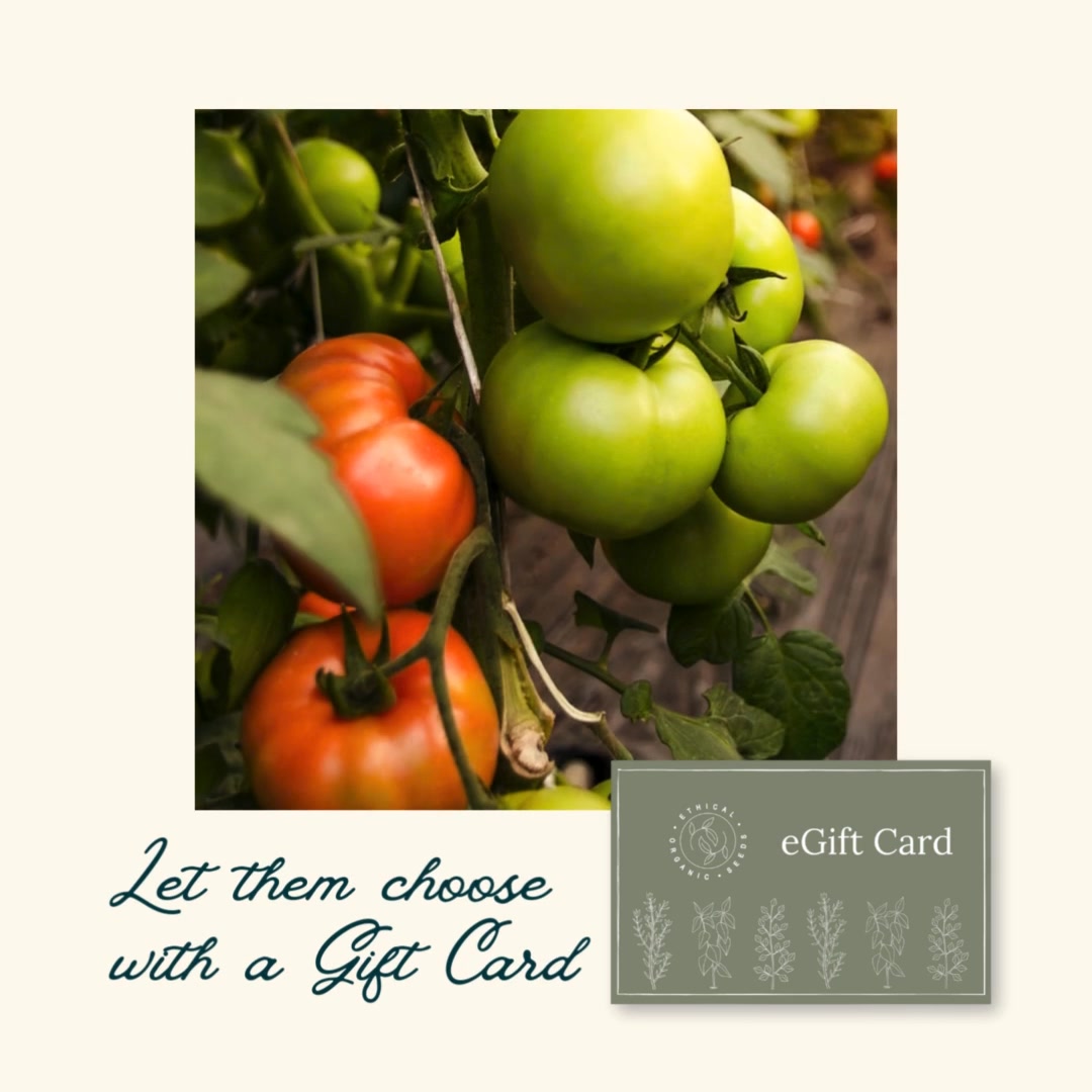 Today is the last day for guaranteed delivery for Christmas!
Or order our eGift Card any time even on Christmas for immediate or scheduled delivery.
#allotmentuk #allotmentlife #allotmentlove #seeds #organicseeds #gardeninggifts