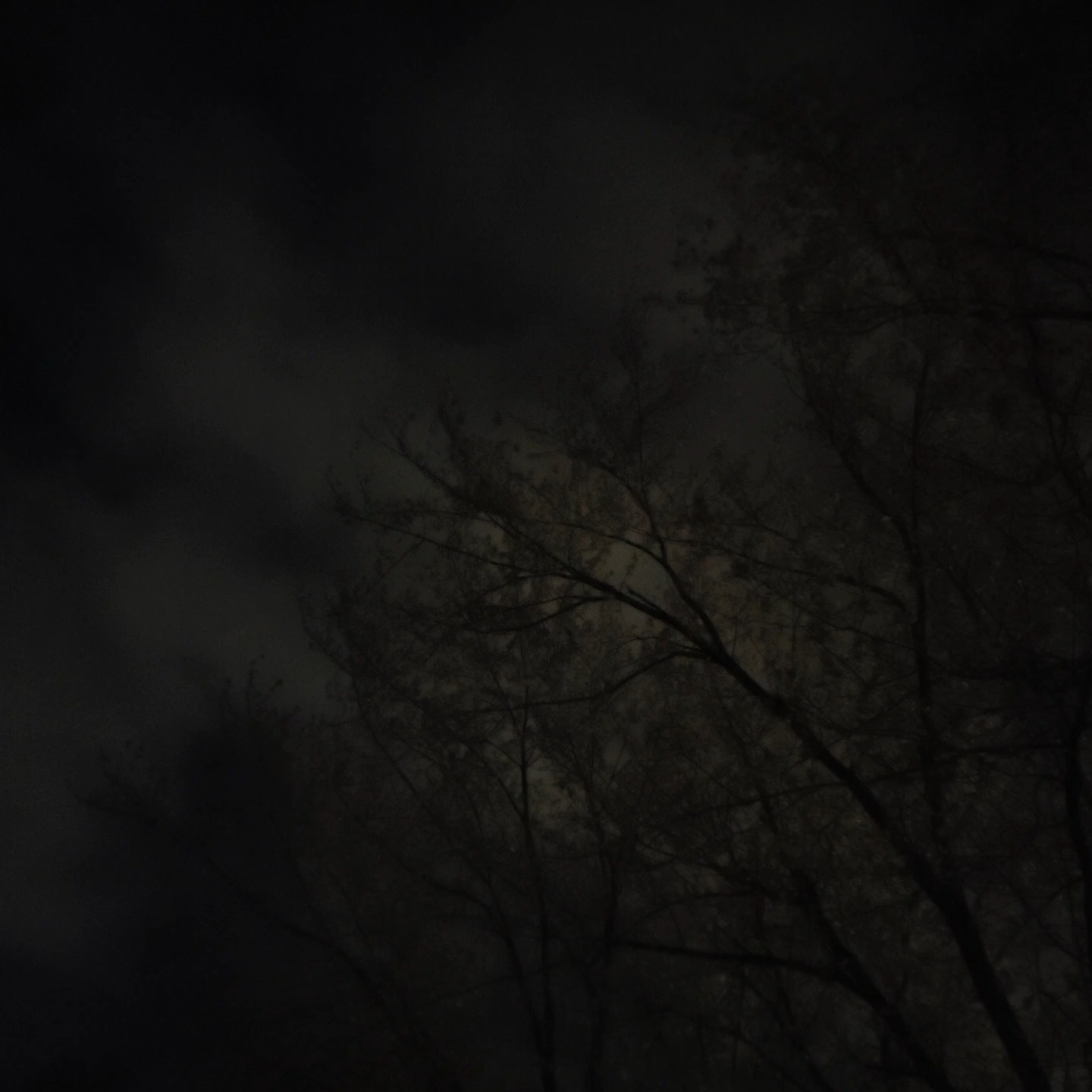 “Some nights feel like portals. Tonight the realms feel a little louder, a little closer.
Between chapters, between worlds, between who we were and who we’re becoming.” Stay with me — the Veil is opening soon. 🌙🔥
#VeilBetweenWorlds #MoonGoddessTrilogy #FantasyAuthor #DarkFantasy #IndieAuthor #WritersOfInstagram #BookAesthetic #VeilLore