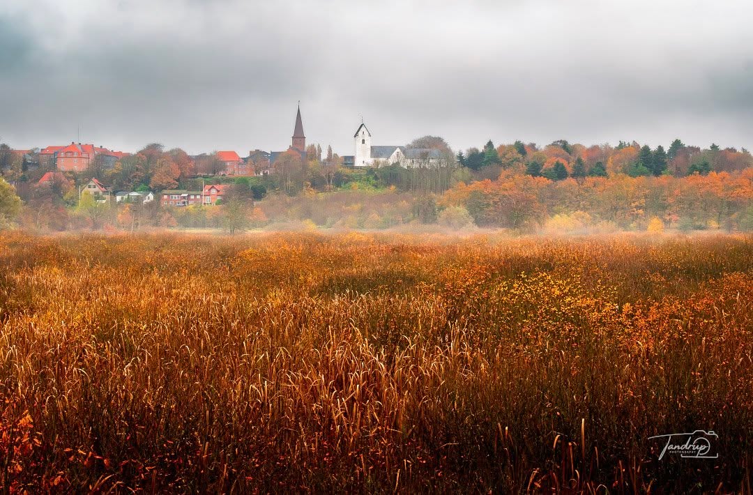Skive Ådal
-
-
-
#determedihuslejen #tandrup_photography #autumncolors #micheltandrup #nordiclandscape #skivekommune #mistymorning #total_denmark #denmarknature #landscapephotography #naturesdetails #nordicscenes #quietmoments #dmiweather #fallmood #limfjorden #salling #danishnature #snapp_december25 #goldenfields #naturdanmark #moodylandscape #naturephotography #autumnvibes #cityandnature #voresskive