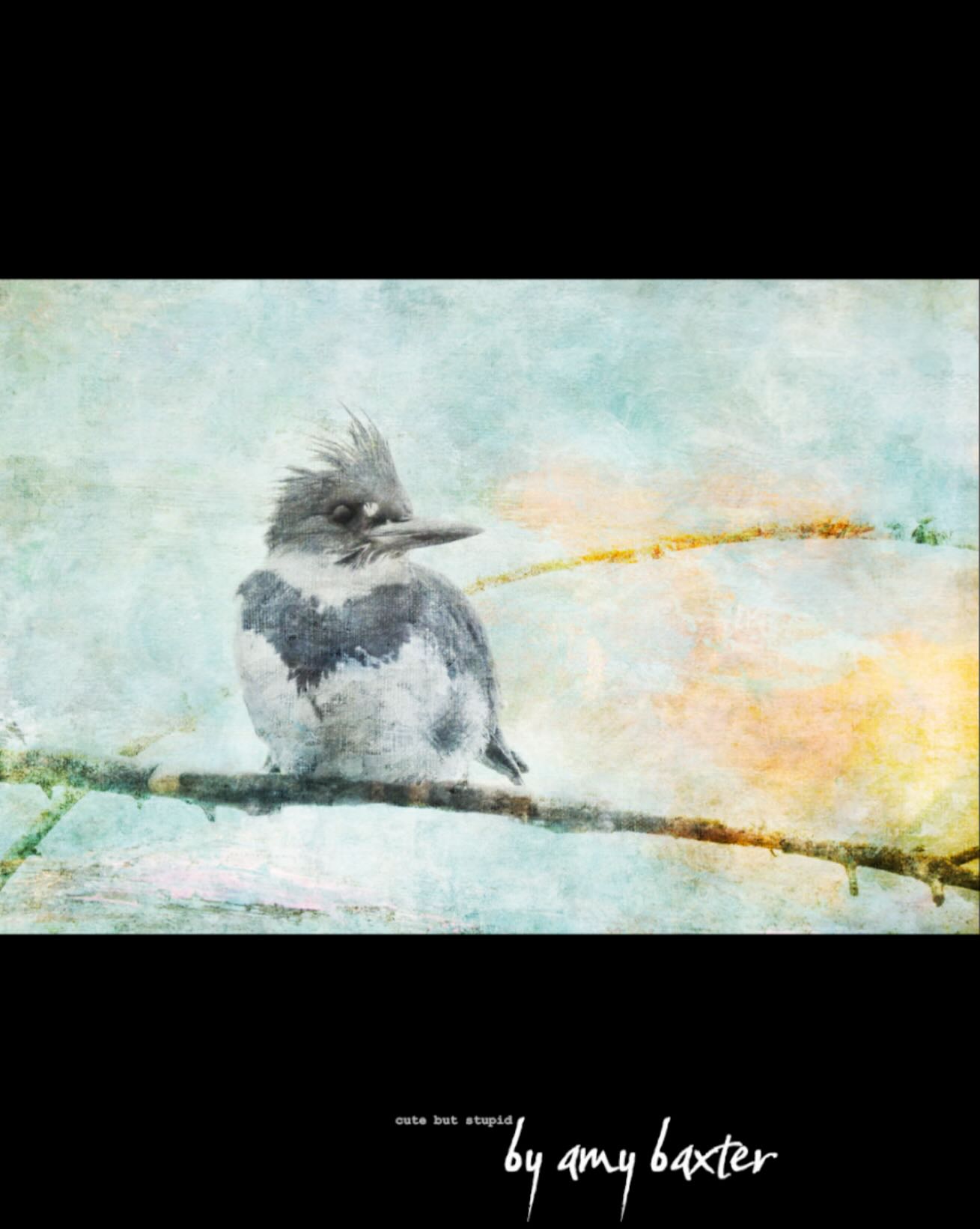 There’s a kind of stillness that isn’t really still — it’s alert, measured, full of quiet intention. That’s what caught me here. The kingfisher’s focus, the faint texture of air and water, that breath between motion and strike.
A new one of my texture-layered photography pieces— not a painting (though it’s often accused of being one, and honestly, I’m fine with that). Layers of patience, light, and just enough digital chaos to keep things interesting — kind of like the bird itself.
Title: resting diligence…
Original crop: 24w x 16h
#texturephotography #fineartphotography #natureart #kingfisher #birdart #contemporaryphotography #artprint #canadianartist #mixedmediaart #digitalart #stillness #minimalistart #artwork #contemporaryart #artislife #westcoastartist #artforsale #originalart #interiorart #vancouverislandart #vancouverislandphotographer #fineartprint #digitalbirds #digitalphotographyart #digitaltextureart #texturedphotography #painterlyphotos #painterlyphotography #artforbirdlovers