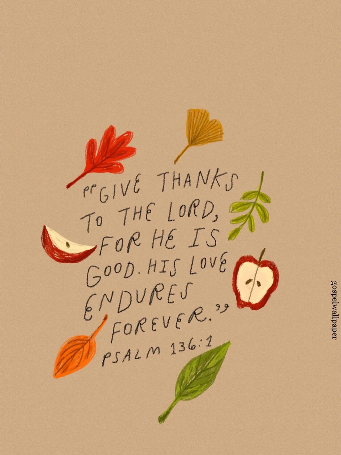 💛 Have a Happy Thanksgiving!