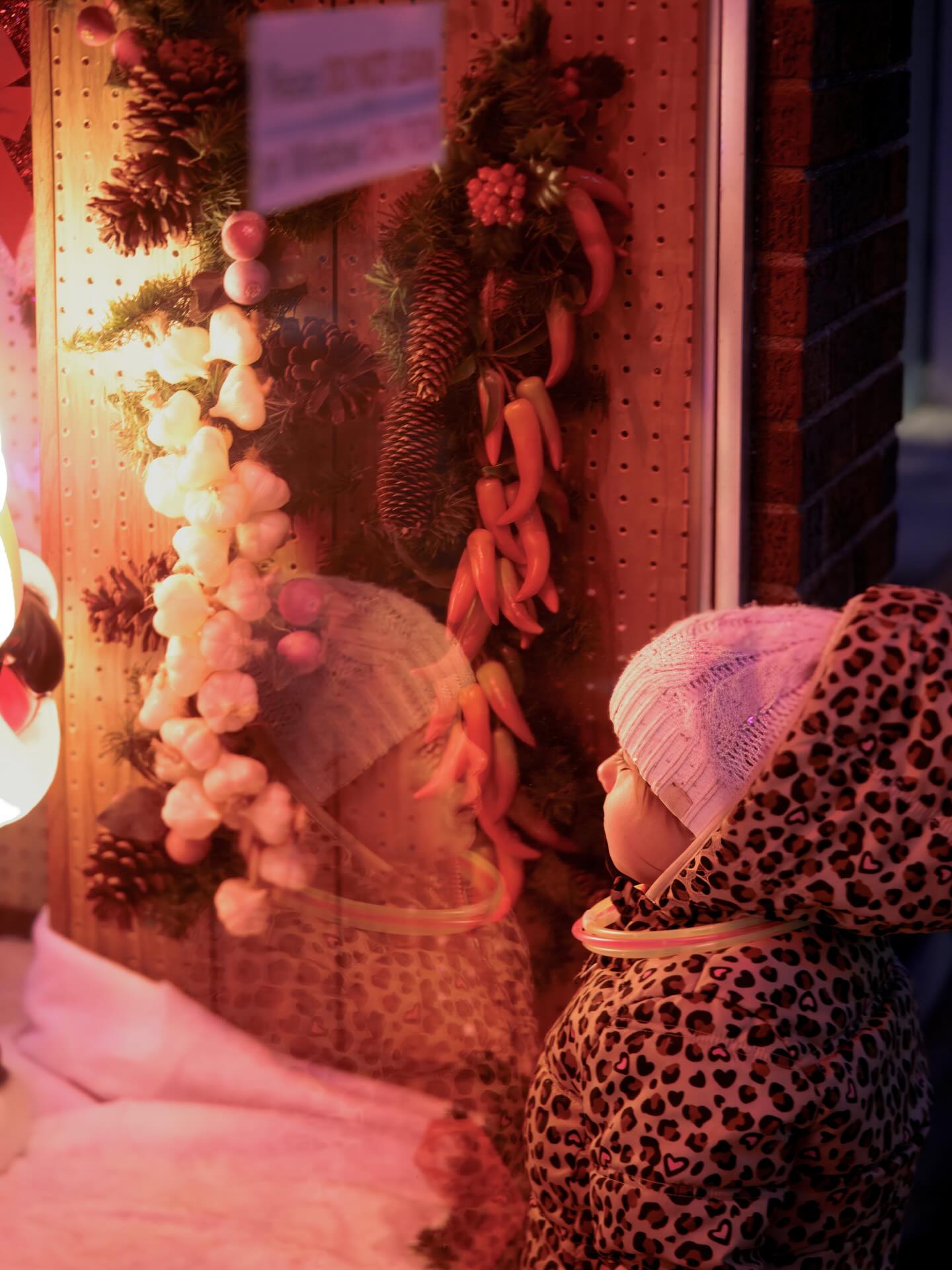 Something about this time of year turns even a simple storefront into a storybook.
The glow of the lights, the reflection in the glass, the quiet curiosity on her face—these are the in‑between moments that make the holidays feel magical.
If you love cozy, candid winter photos of your kids soaking in the season, now is the perfect time to plan a session in Port Huron. Visit thetimelessphoto.com or send a DM to start creating your own timeless holiday memories.